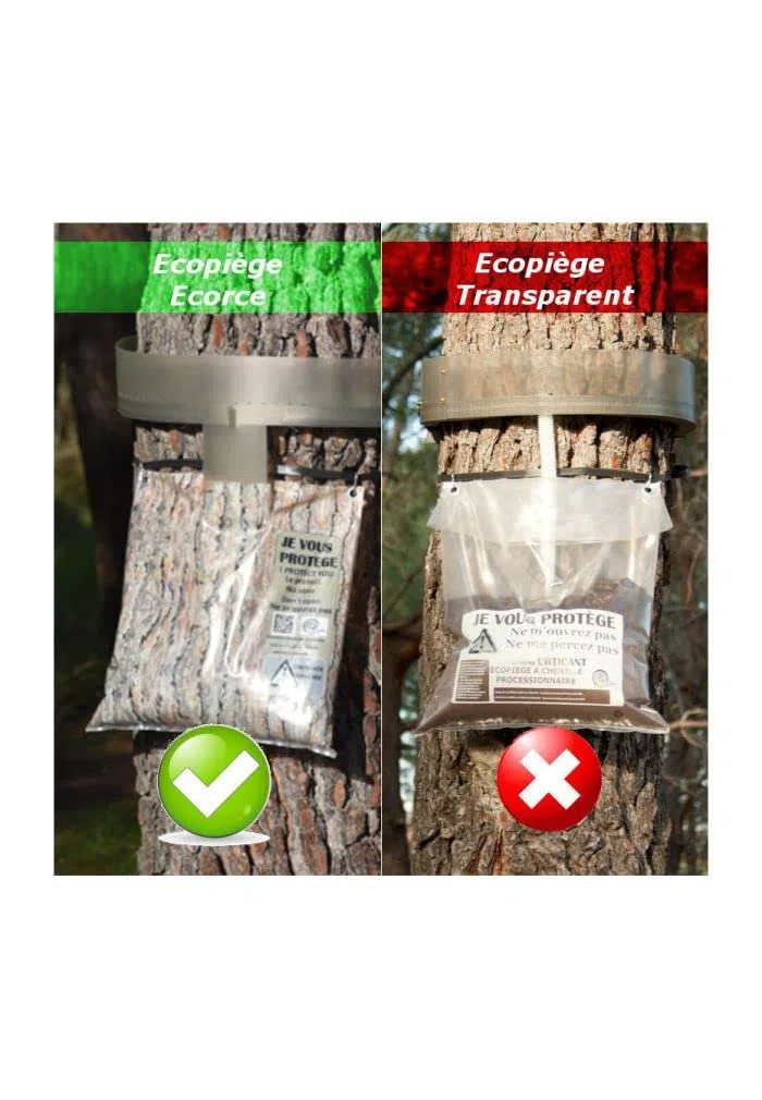 Agro Senso Sacchetto collettore e Mastice per Trappola a Cingoli processionnaires del Pin – AG-pprokit