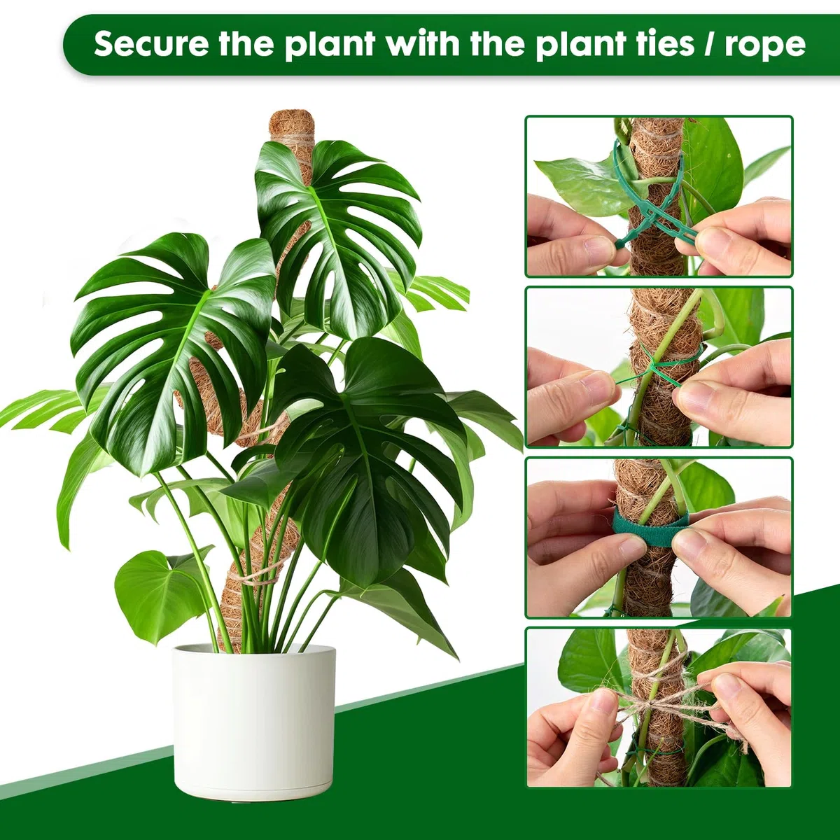 Mactoou 4 Pezzi Bastone Tutore per Piante, 65cm Sostegno Piante Rampicanti, Bastone in Fibra di Cocco per Piante Pieghevoli per Casa Giardino Balcone