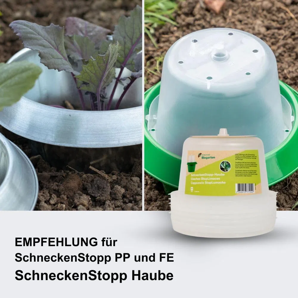 Andermatt Biogarten StopLumache PP – Confezione da 12, Protezione Contro Le lumache, Collare Anti-lumache Riutilizzabile in Materiale Riciclato, L'Originale Svizzero, Verde