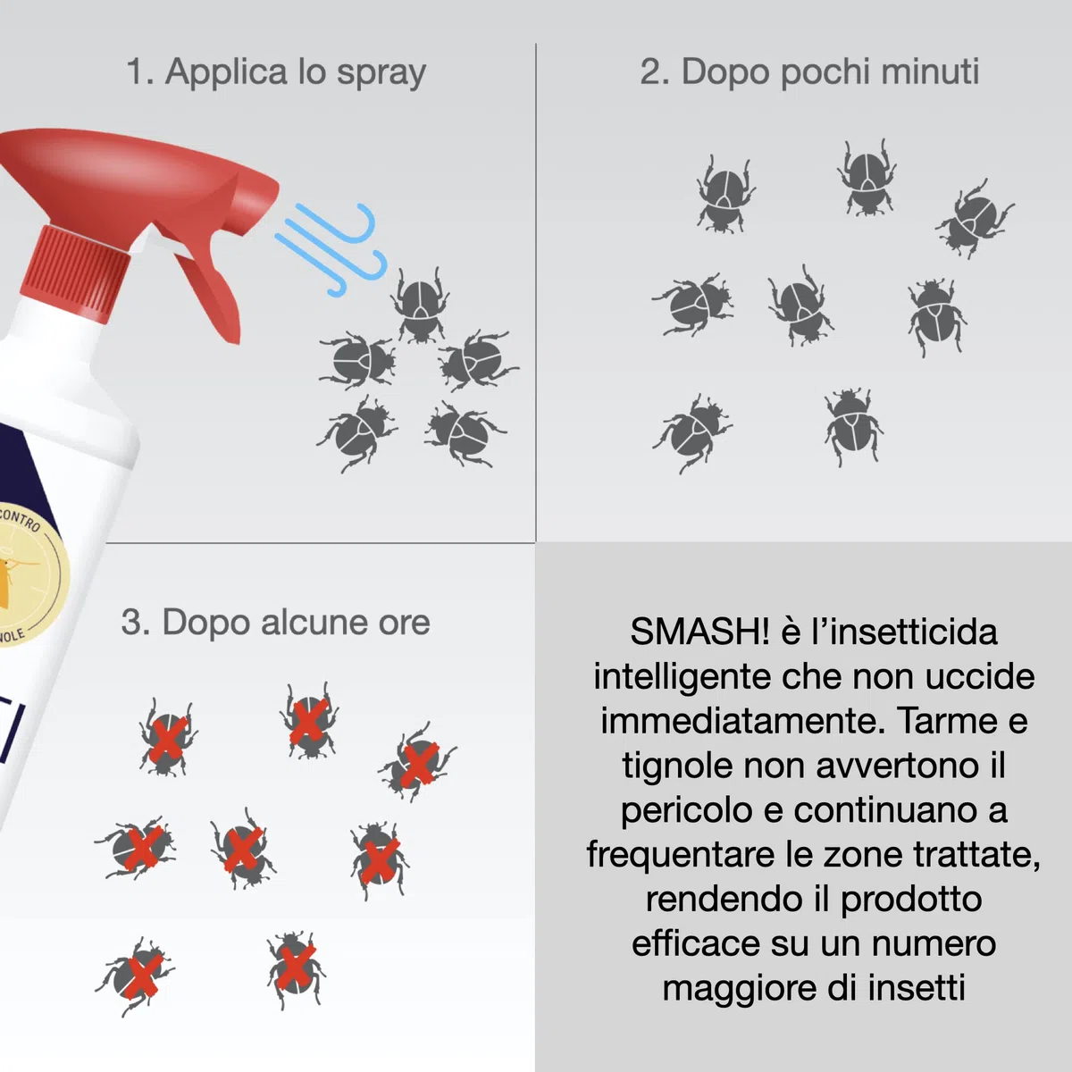 SMASH Spray Antitarme e Anti Farfalline del Cibo in Casa - Adatto per Ambienti con Animali Domestici - 1x500 ml - Anti Farfalle per Armadio e Dispensa - Senza Permetrina. Istruzioni incluse