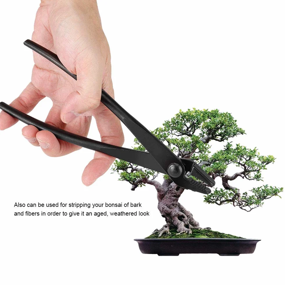 Pinza Bonsai, Pinza per Filo da Allenamento per Bonsai Attrezzi da Giardino per Bonsai Pinza Filo Bonsai in Lega di Acciaio al Manganese per Attrezzo da Giardinaggio