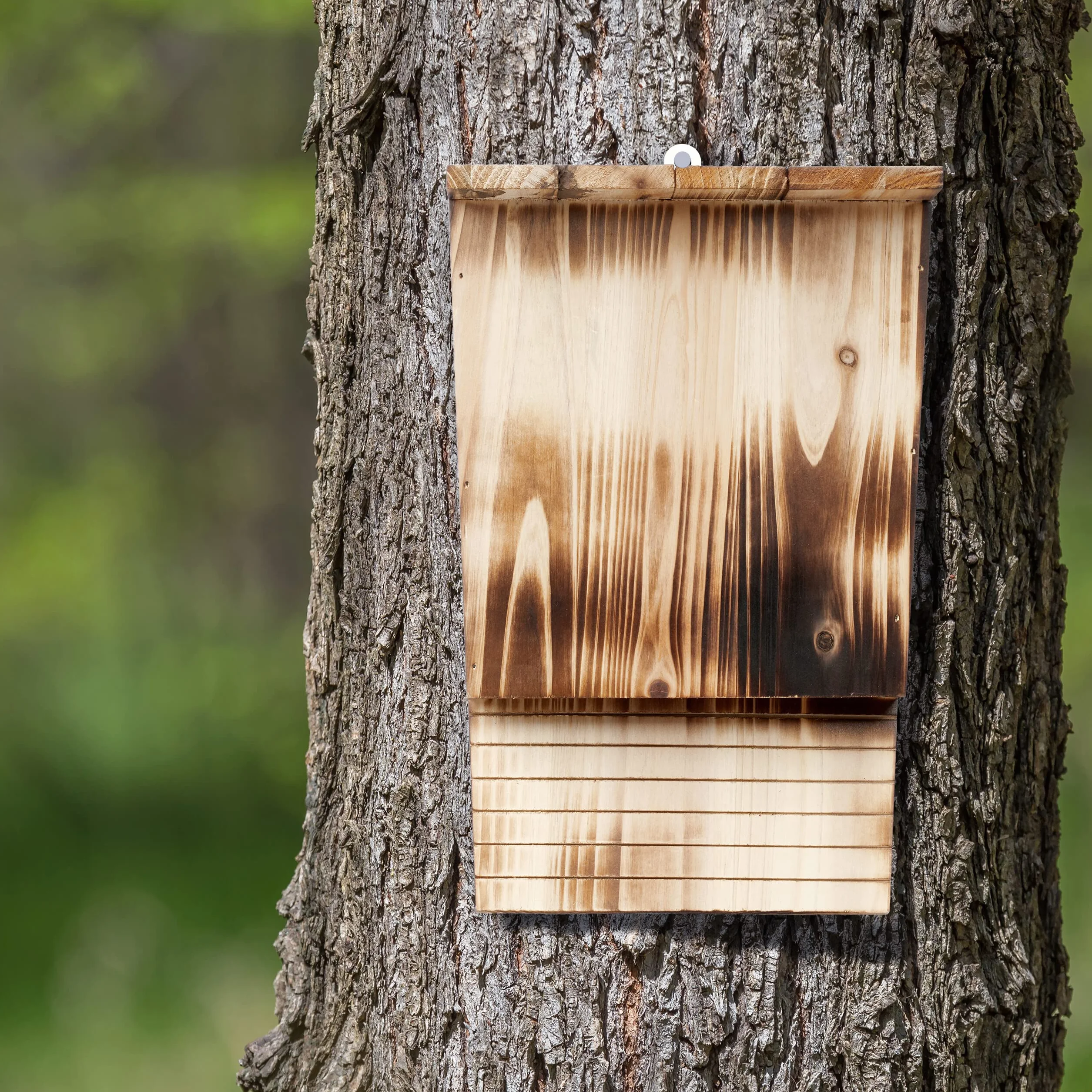 Relaxdays Rifugio per Pipistrelli, Nido Casetta XL, Pipistrellini, Bat Box, Bathouse, HLP: 37x22x12,5 cm, Legno, Marrone