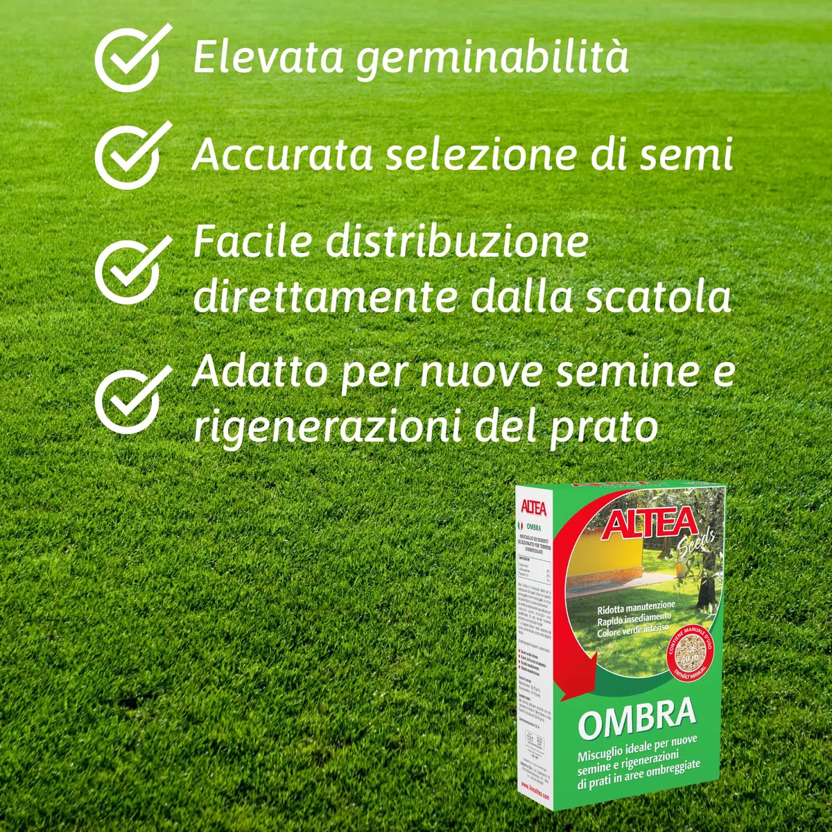 Tecnokit Semi Per Prato Ombreggiato, Miscuglio Resistente Per Aree Con Poca Luce, Semi Prato Crescita Rapida e Uniforme, Sementi Per Prato Rigogliose, Confezione 1kg - 40mq