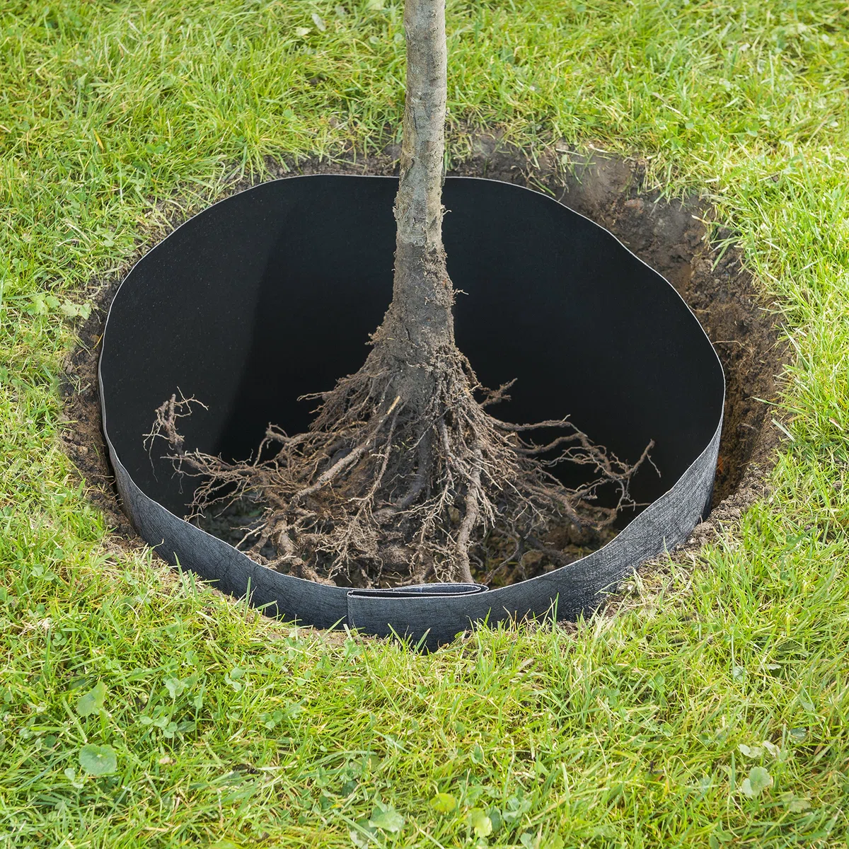 Windhager Pile barriera antiradice, protezione contro la crescita incontrollata delle radici, tessuto GEO rivestito in HDPE, 275g/m², 3,5 x 0,65 m, 06058