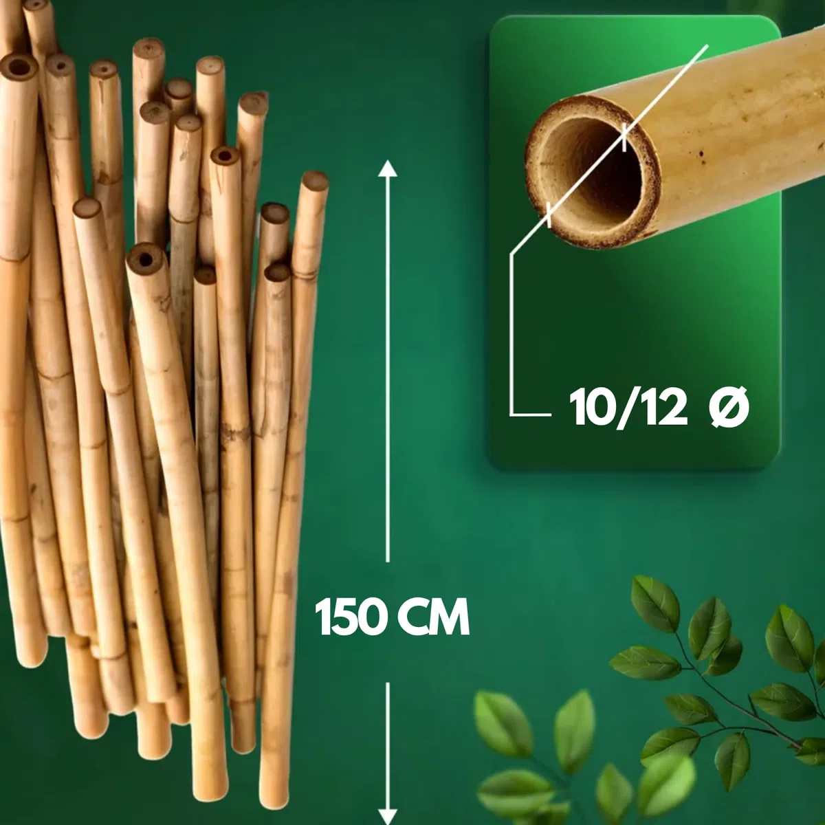 Canne Bambù Giardinaggio Naturali Set 25 Cannette 10/12 Ø x 150 cm Bastoncini Supporto Piante Orto Sostegni Tutore Pali Resistenti Rampicanti Giardino Pomodori Melanzane