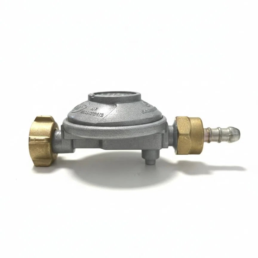 Générique Erogatore gas butano con tettarella 28 mbar sicurezza portata limitata – raccordo G.2 bottiglia 13 kg – uscita Ø 8 mm – per fornello, riscaldamento, gas – conforme alla norma NF nel 16129