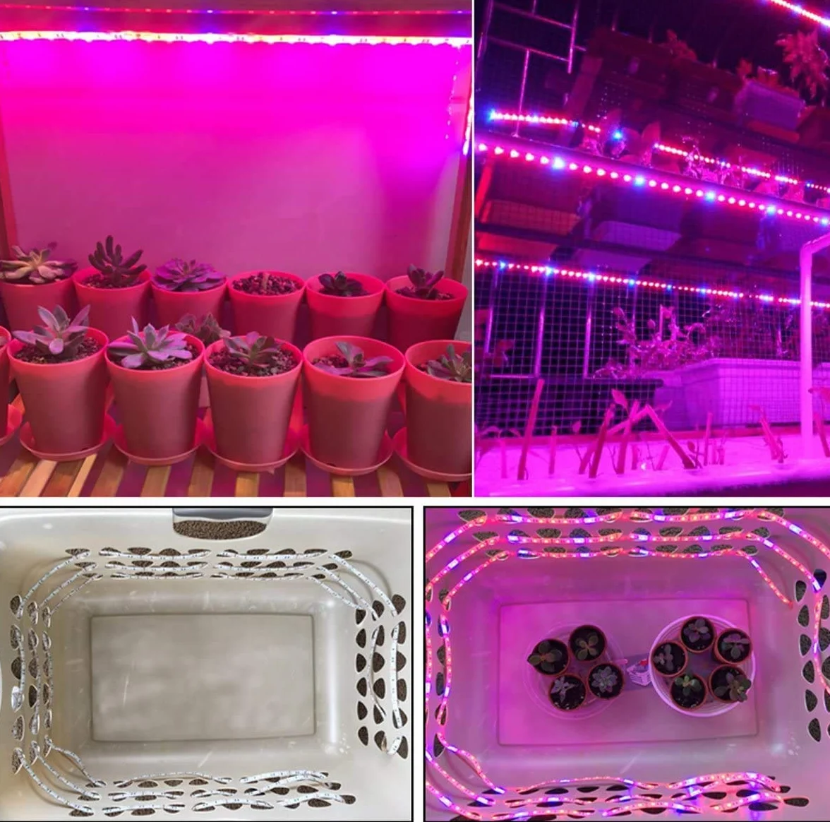 La pianta LED coltiva la luce della striscia DC 12V IP65 impermeabile Spettro pieno SMD 5050 Rosso blu 3: 1 luce della corda per l'acquario Serre pianta