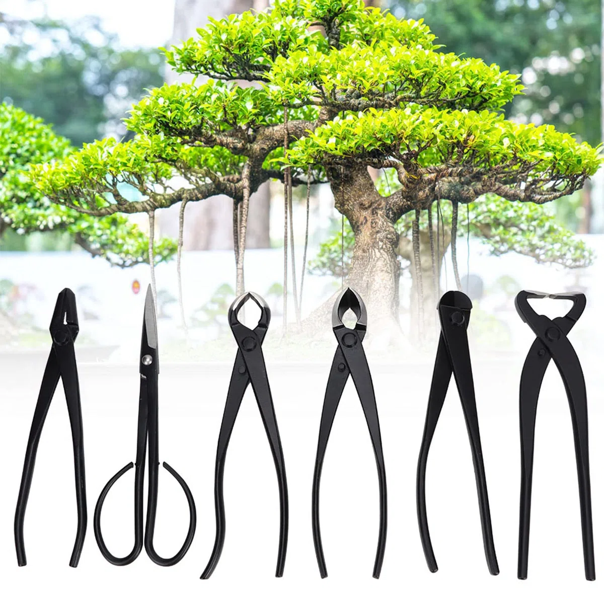 Set di attrezzi per bonsai Kit di rifinitura da giardino da 6 pezzi di grado professionale con custodia per appassionati di bonsai e giardinieri Lega di acciaio inossidabile