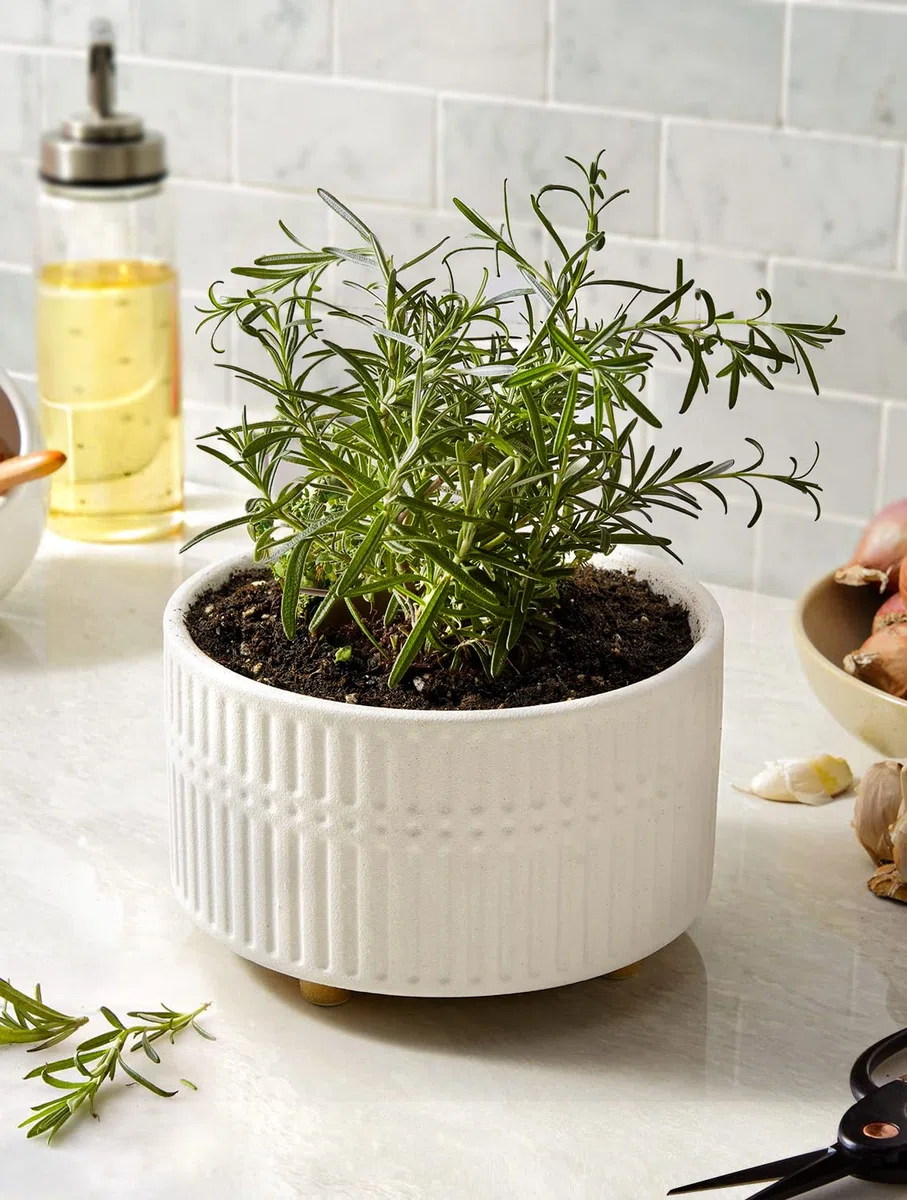 LE TAUCI Vasi per Piante Grasse, 16.5+20 cm Vasi per Piante da interno in Ceramica con Foro di Drenaggio, Fioriere da Balcone Bassi Rotondi per Piante Grasse, Set di 2, Bianco