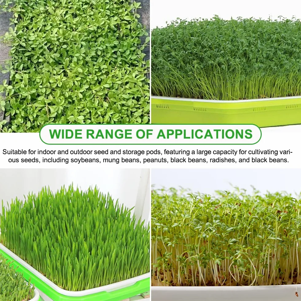 6 Pezzi Vassoio per Germinazione Semi 32.5x24.5x4.5cm Vassoi per Semi Impilabile Vassoio per Germogli in Plastica per Coltivazione Fagioli Mungo,Erba Medica,Erba di Grano