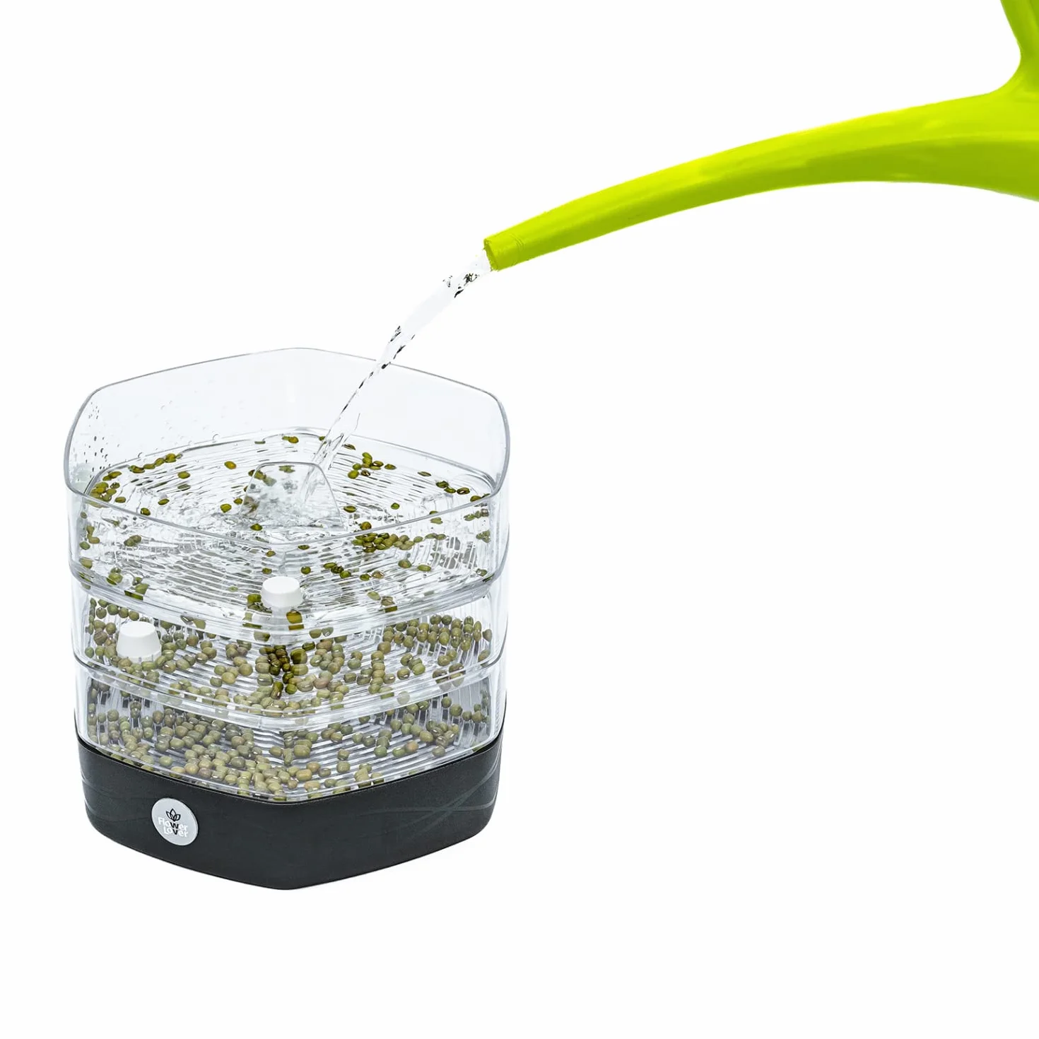 Germogliatore per Semi Alimentari con 3 livelli ø17 cm - Germinatore per Semi, Germogli, Microgreens - Germogliatore per Semi in Plastica, Antracite
