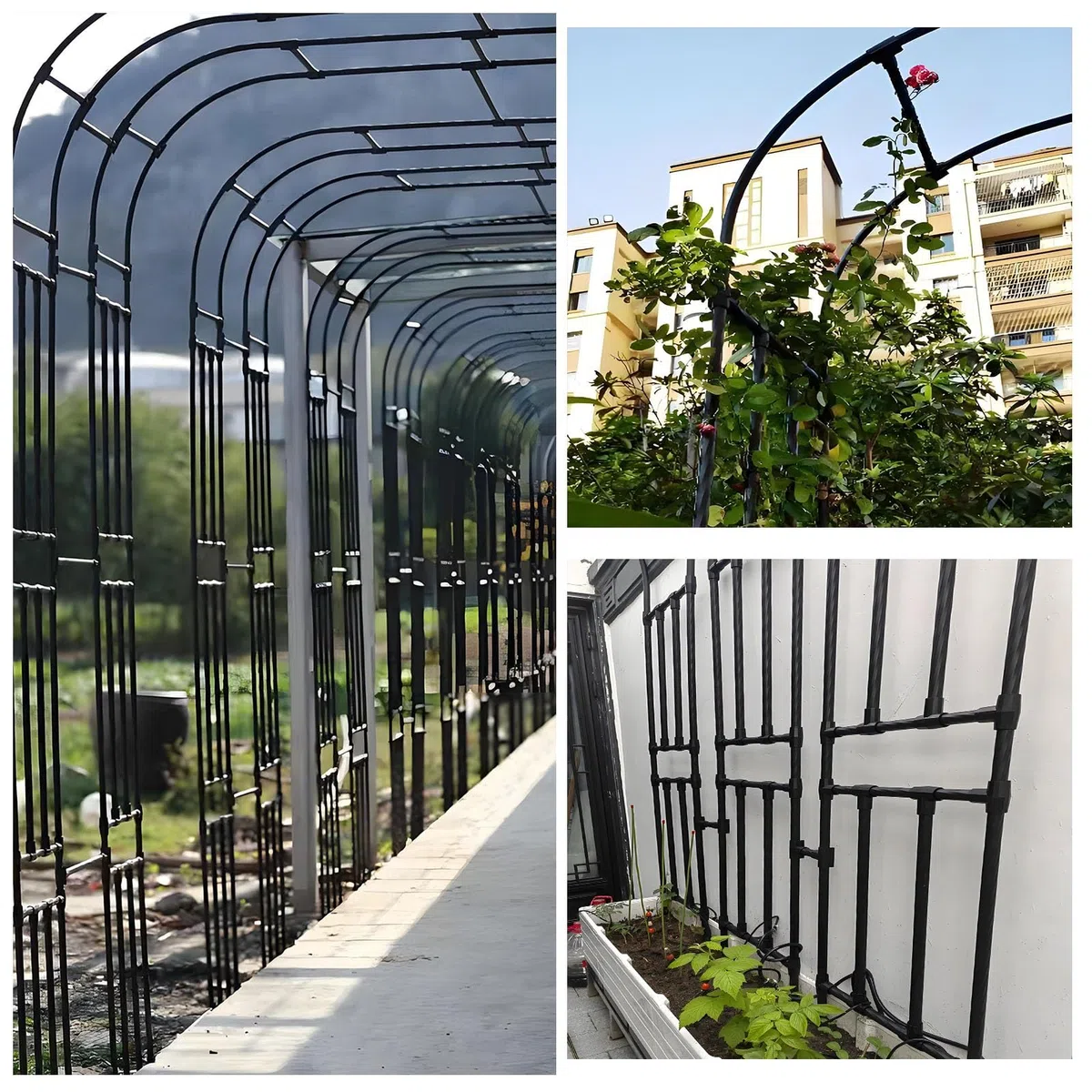 Traliccio da giardino in metallo per piante rampicanti, supporto per rose a semicerchio, supporto da parete, 1,2 m x 2,4 m, bianco, resistente, decorazione per esterni
