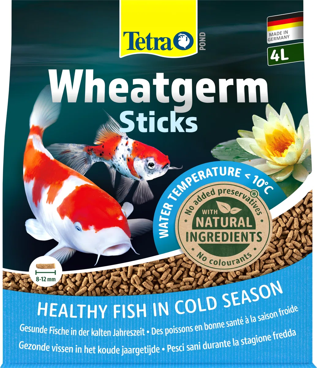 Tetra Pond Wheatgerm Sticks, Mangime Completo ai Pesci dei Laghetti da Giardino, Ottimale per Temperature Basse dell'Acqua in Autunno e in Primavera, 4 L