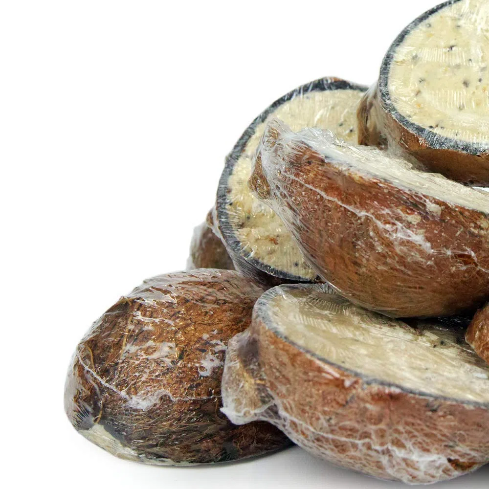 GardenersDream Mezze Noce di Cocco Ripiene di Suet - Cibo per Uccelli Selvatici a Base di Grassi per Giardino (15 metà)