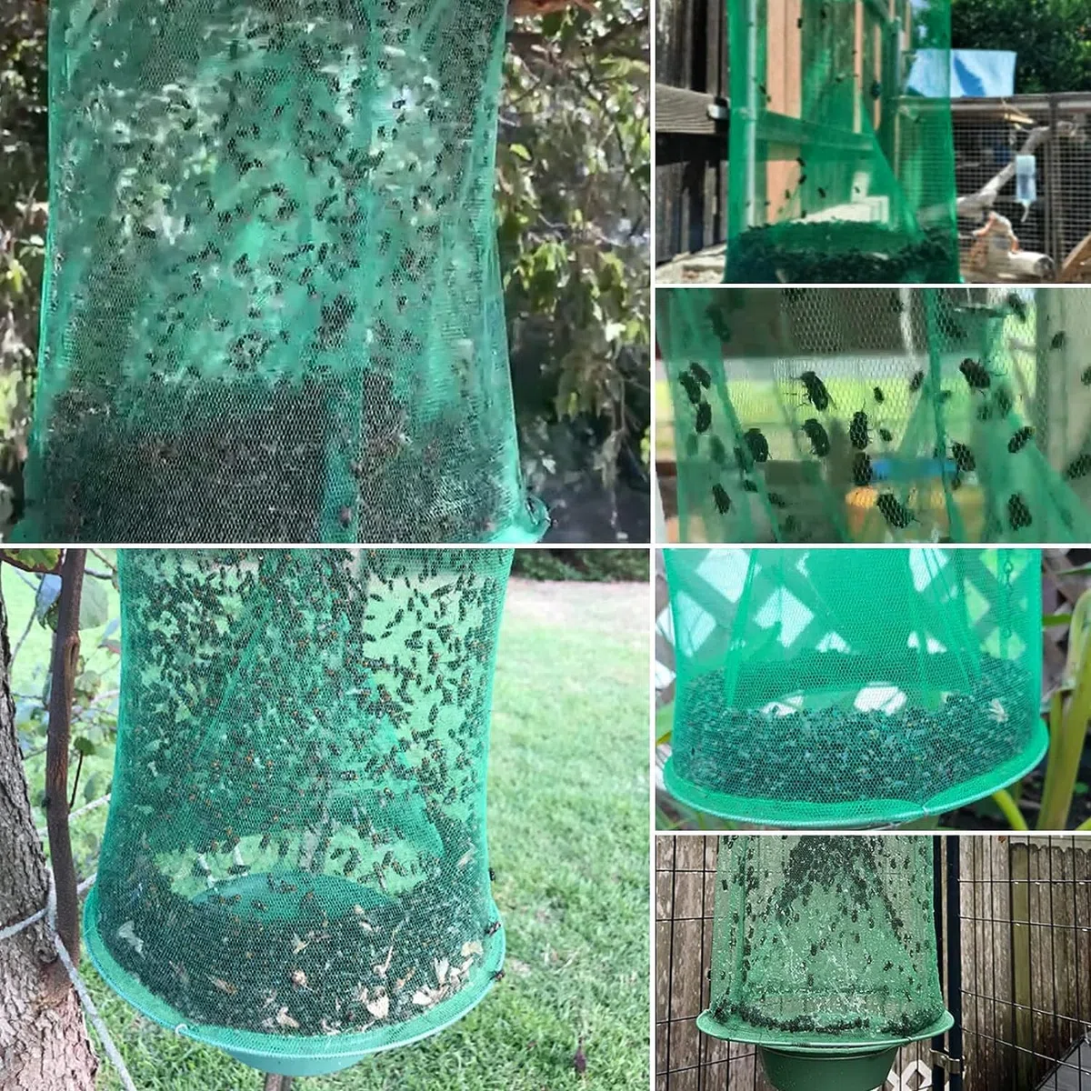 Confezione da 10 trappole per mosche Ranch da appendere all'aperto, stabile per allevamento di cavalli, riutilizzabili, per cacciatori di mosche, gabbia di controllo per granai e frutteti