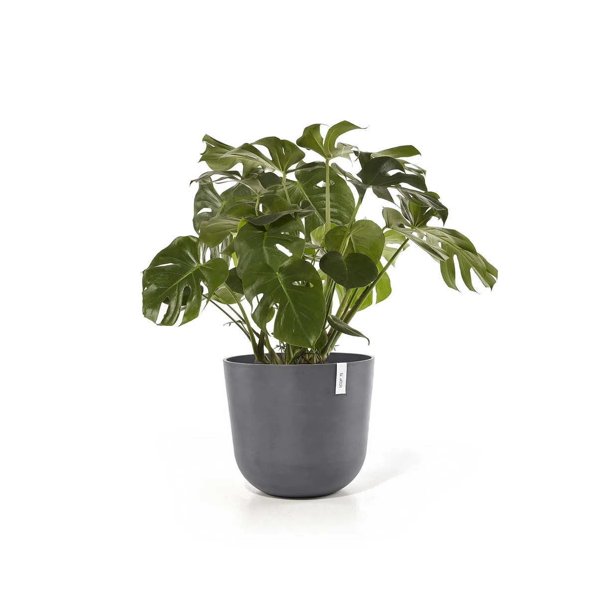 ECOPOTS Ashortwalk Vaso per piante in plastica riciclata, diametro 55 cm x altezza 47,9 cm, colore: grigio