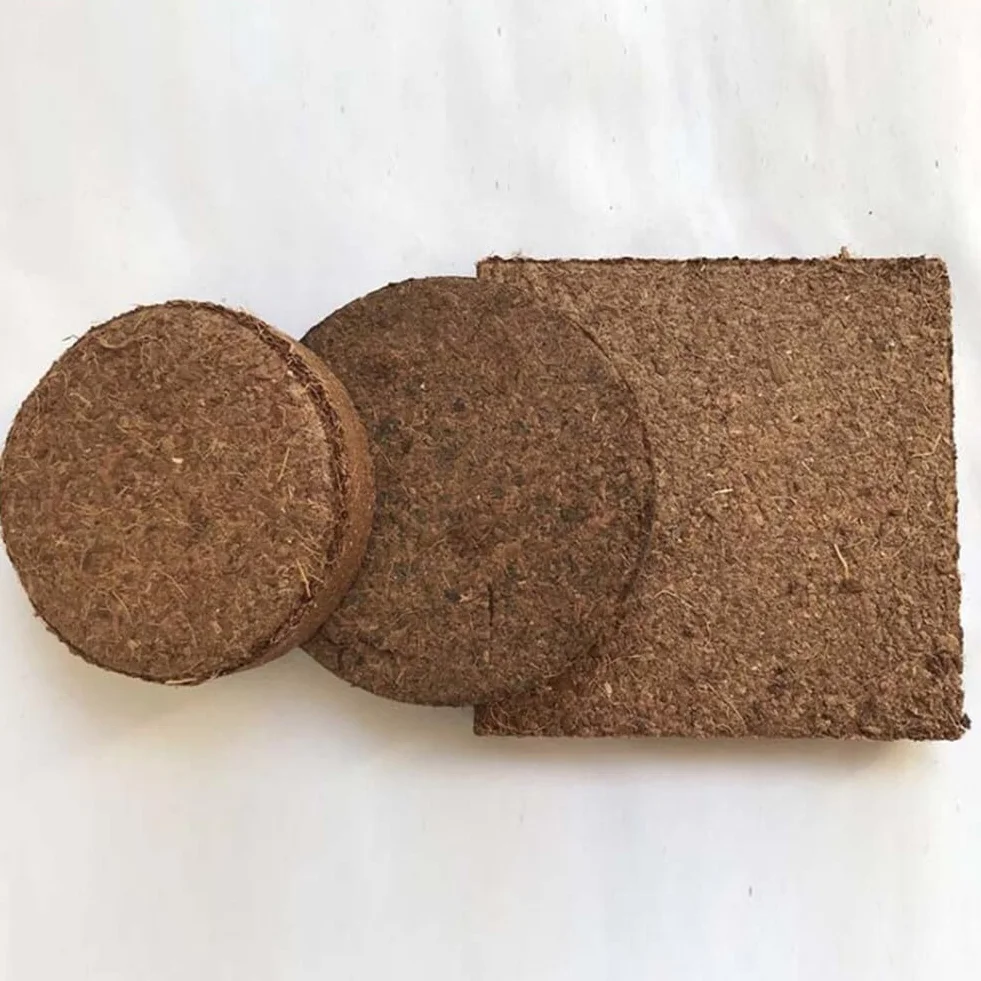 50Pcs Vassoio Per Piantine Pellet Di Torba Blocco Nutrizionale Per Coltivazione Di Piante, Torba in Dischetti Coltura Del Suolo, Avviamento Di Propagazione E Germinazione