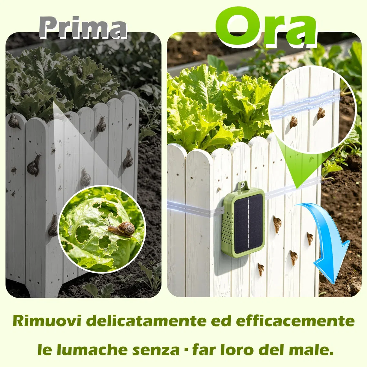 Kit di Recinto Elettrico Anti-Lumache, Pannello Solare 2W e Batteria al Litio Integrata 2.4Ah, Dispositivo di Protezione con Nastro Recinto 12m e Accessori Anti-Lumache, per Protezione Giardini