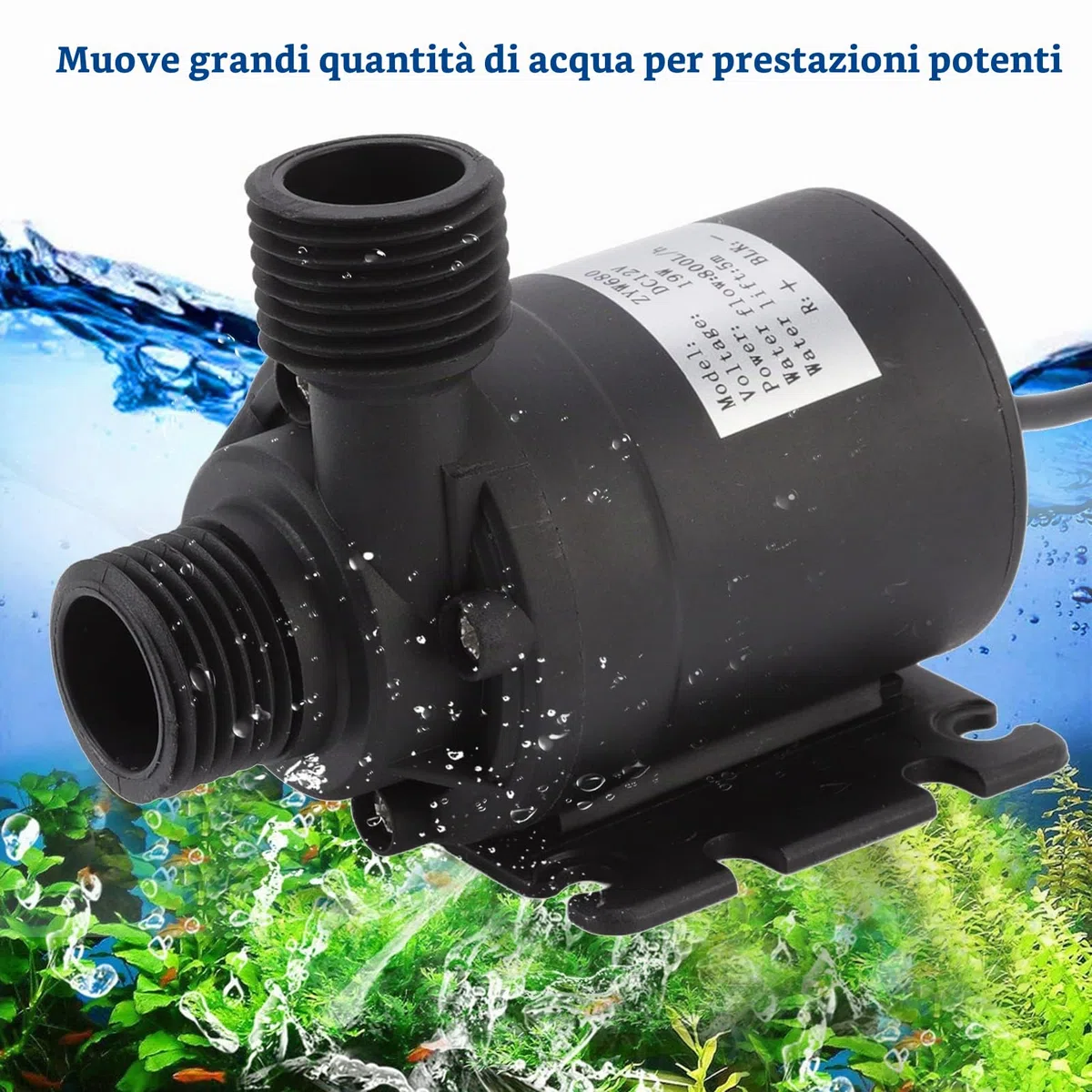 Pompa per Acqua Solare, Pompa per Fontana Solare da 30 W, Kit Pompa per Acqua Solare con Pannello Solare in Polisilicio, Kit Pompa per Fontana per Giardini Idroponici con Fontana Alimentata dal Sole