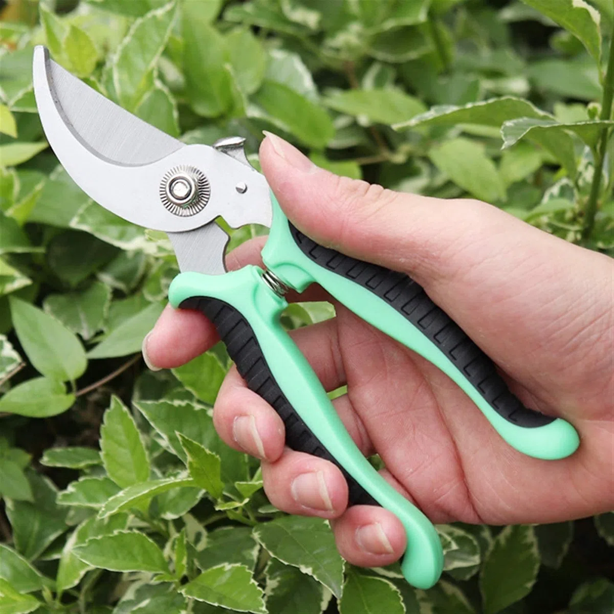 Attrezzi da Giardinaggio Antiscivolo Forbici da Giardinaggio Attrezzi per innesto Cesoie per potatura Alberi Cesoie per potatura Bonsai Cesoie da Giardinaggio Trimmer
