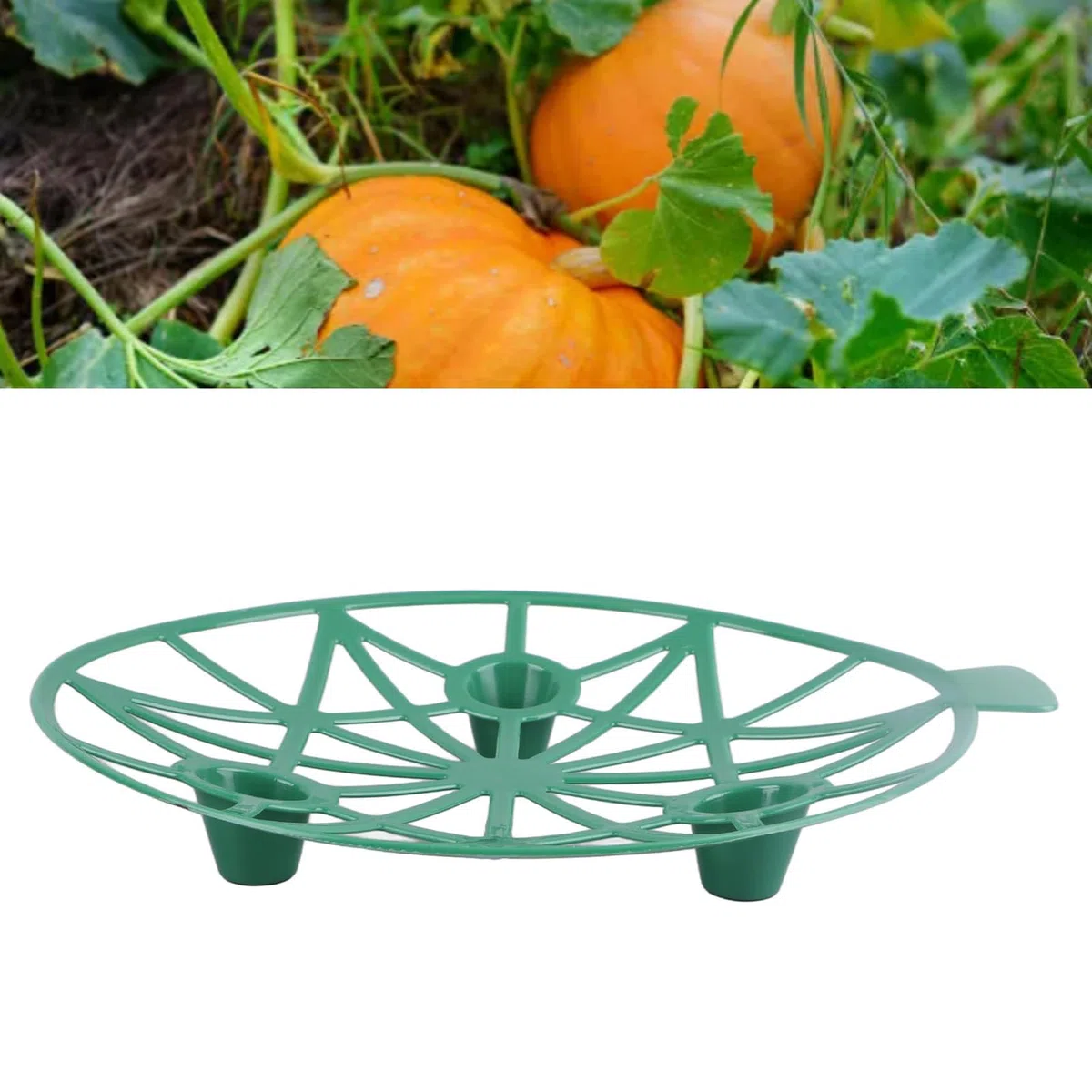 Supporto Per Zucca Supporto Per Anguria Supporto Per Piante Supporti Per Melone Gabbie Per Evitare La Putrefazione del Terreno 10 Pezzi Supporto Per Anguria Culla Per Melone Supporto Per Zucca Fragola