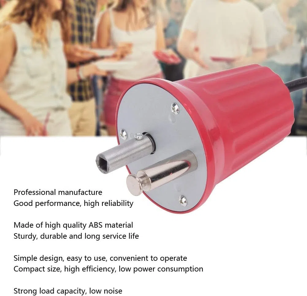 mumisuto Motore per Barbecue, FD801 Motore Girarrosto per Barbecue Motorino DC 220V 230V 240V Griglia Elettrica Barbecue Macchina Accessori per Barbecue all'aperto Strumento per Esterni