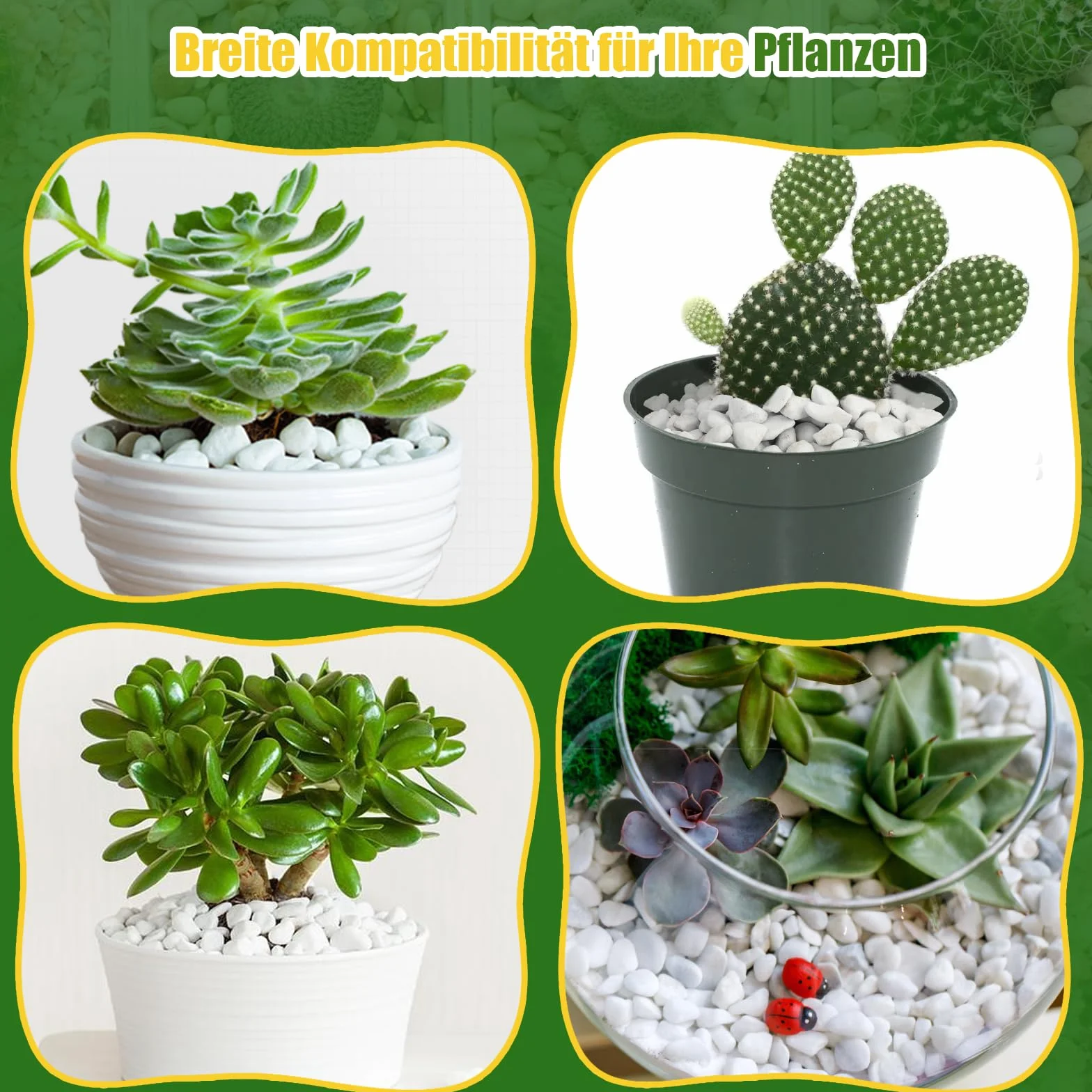 Perlite grossolana per piante (1-2 cm di diametro), additivo naturale per il suolo, migliora il drenaggio e la ventilazione, favorisce la salute del suolo e la crescita delle radici (10L)