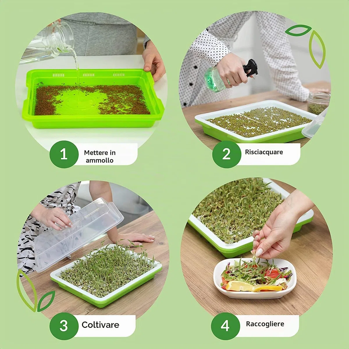 KAHEIGN 4 Pezzi Vassoi per Germinazione dei Semi con Coperchio, 32cm x 26cm Vassoio di Germinazione di Grande Capacità Propagatore Idroponico Sano Senza BPA con 24 Carte per Piantare per Coltivazione