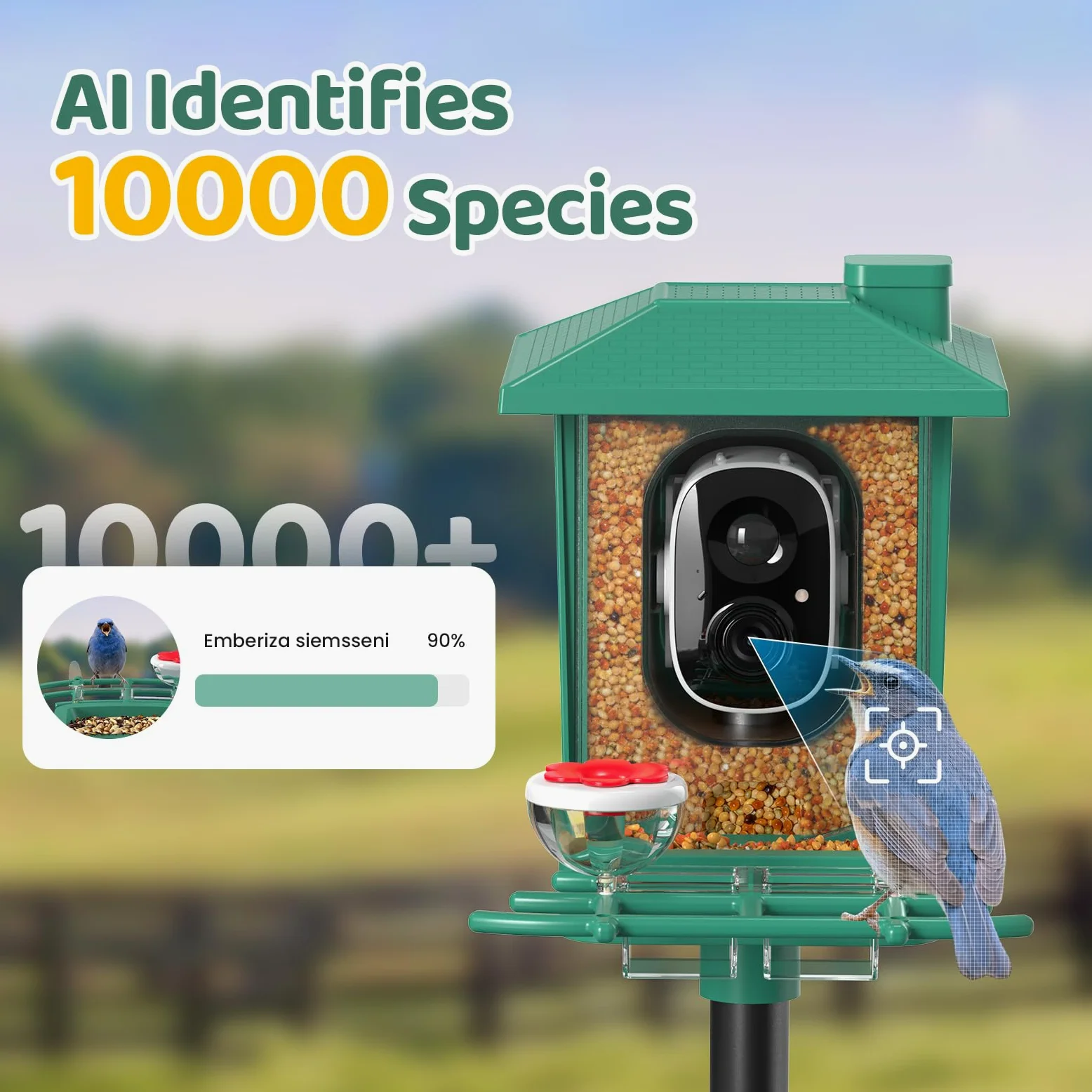 Mangiatoia per Uccellini da Esterno Telecamera Solare: 2K HD Abbeveratoio per Uccelli Videocamera - Bird Feeder Impermeabile IP66 - Riconoscimento Intelligente Volatili Mangiatoia Uccelli Selvatici