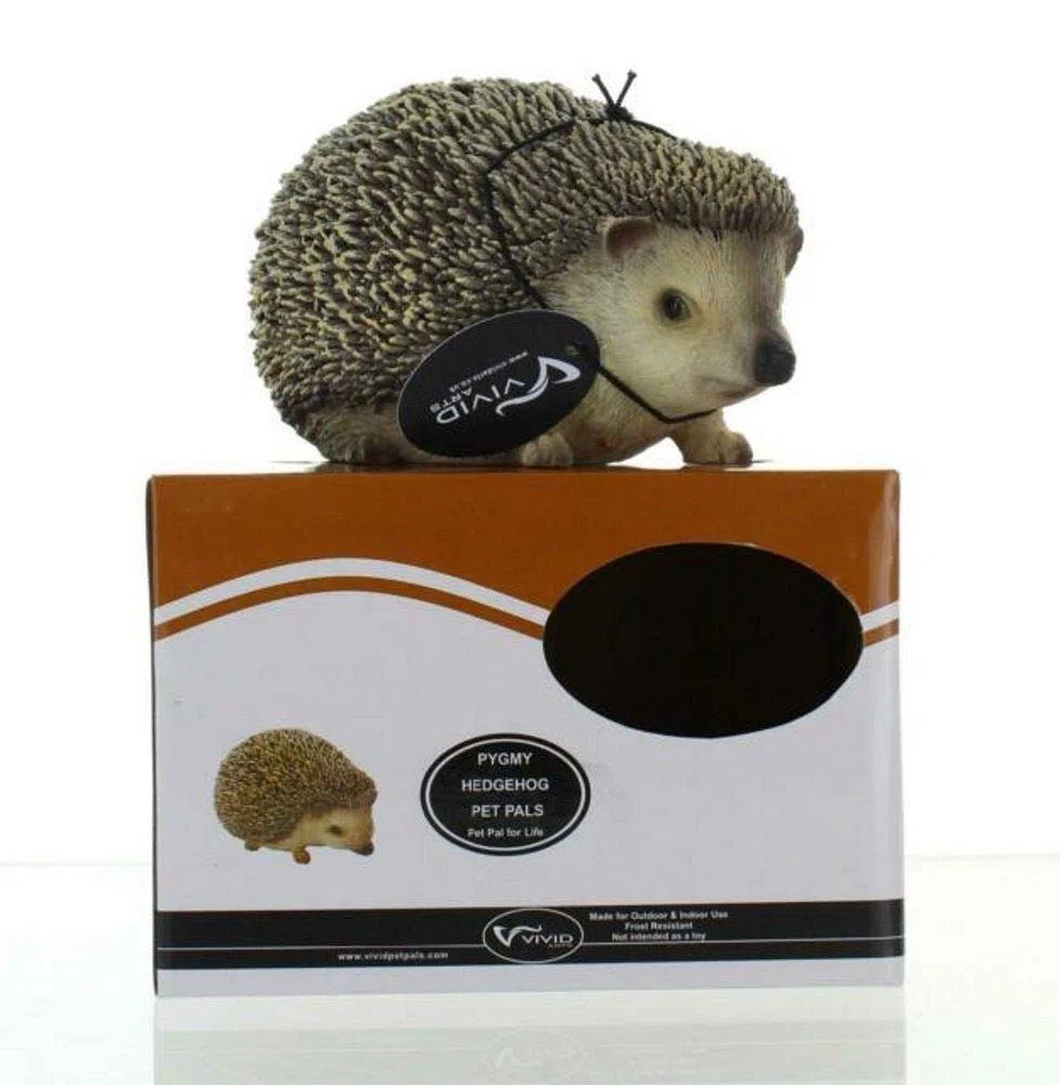 Vivid Arts Ltd Pet Pals - Statuetta in Resina a Forma di Riccio