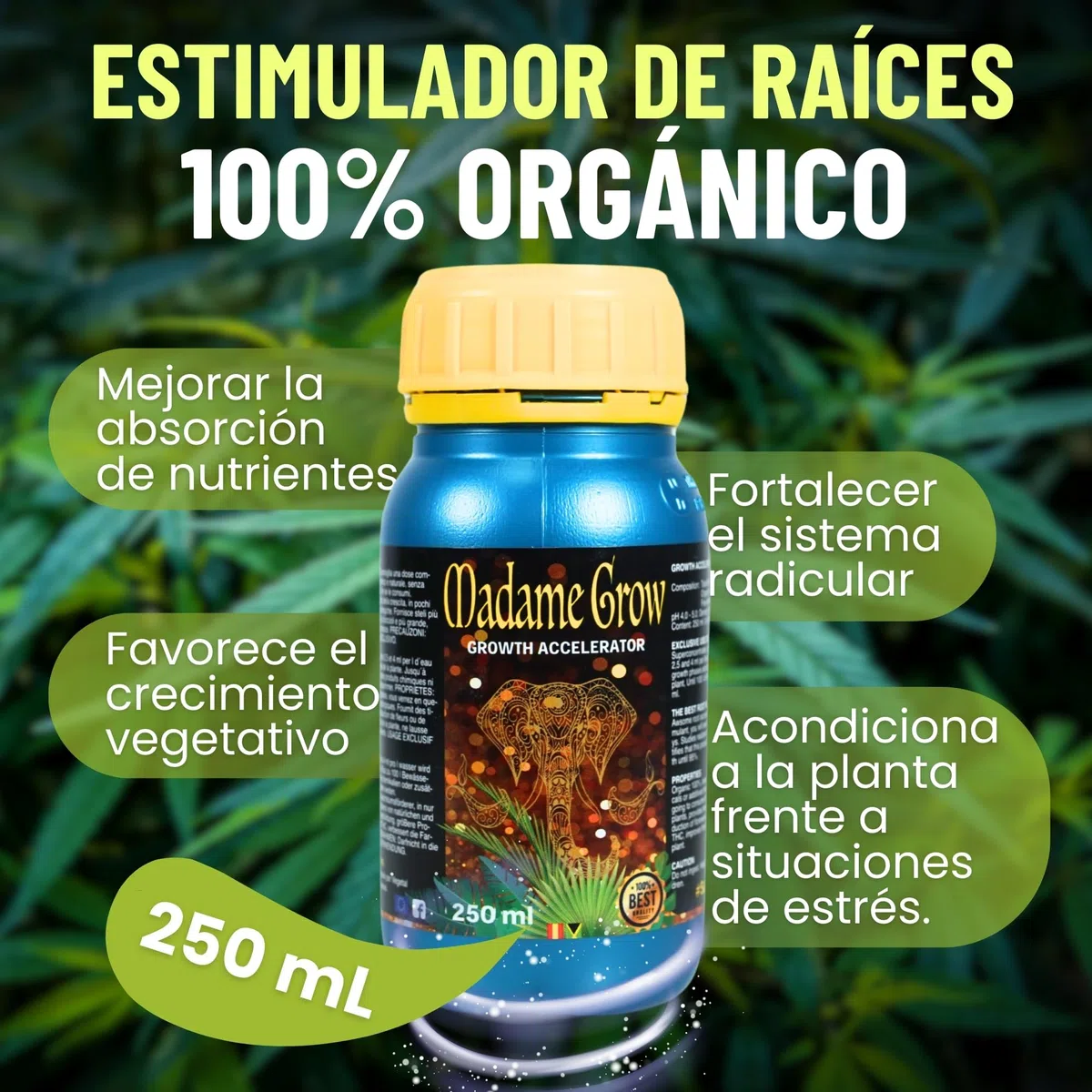Concime - Radici bianche, lunghe e forti - Crescita perfetta - Formato USA (250 ml)