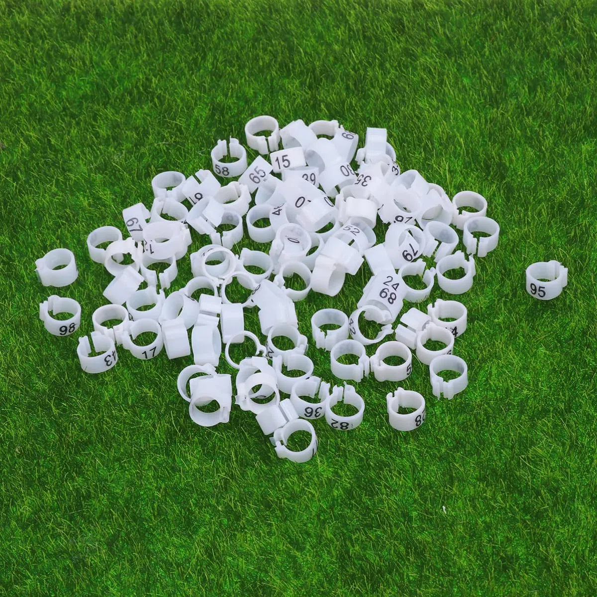 300 Anelli a Clip for Zampe di Uccelli for piccioni, pappagalli e Pulcini - Anelli di identificazione Colorati(3 Packs)