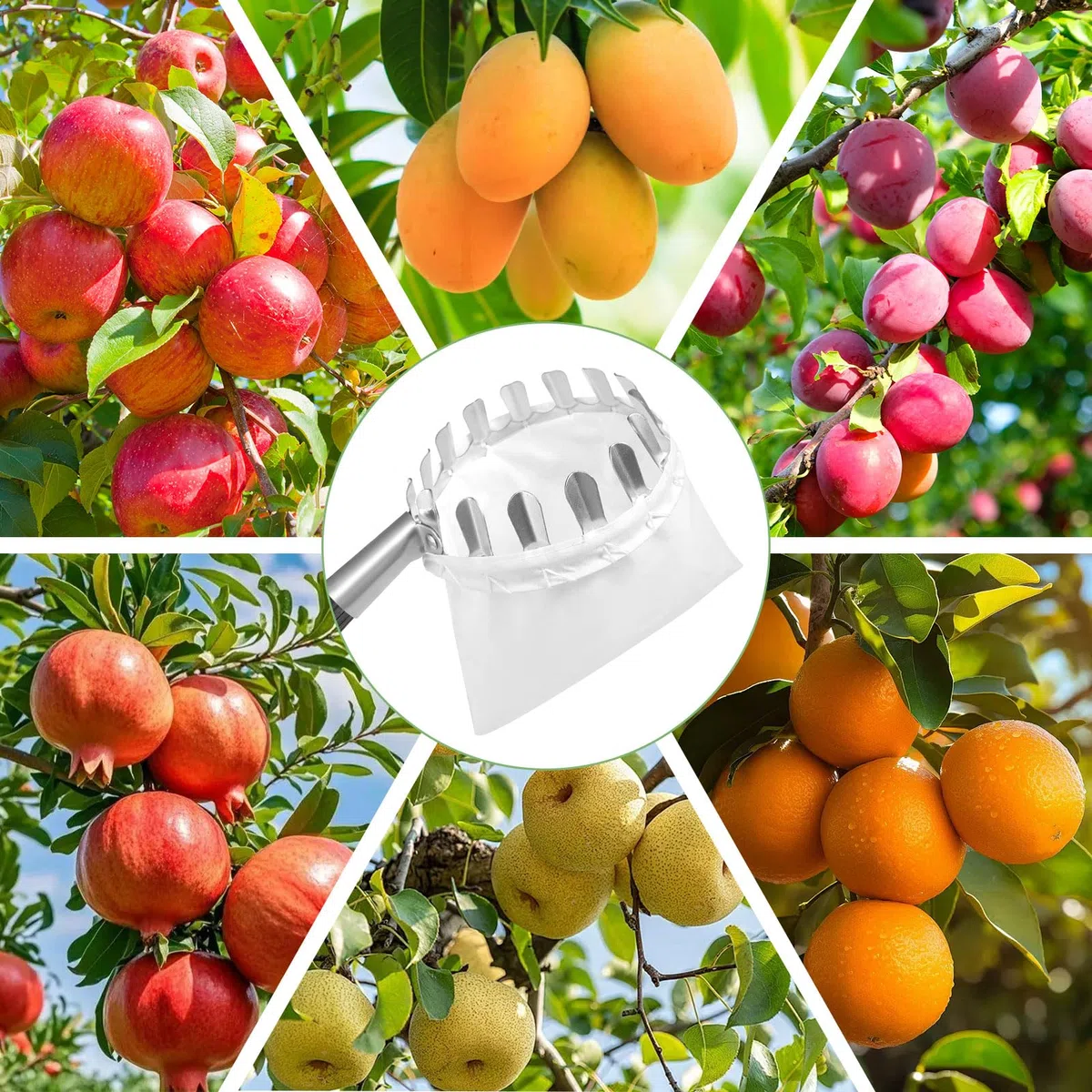 GOSHIES Raccogli frutta, 4 m, con manico telescopico, raccogli mele, con sacchetto di cotone, per ciliegie, facile da montare per alberi da frutto