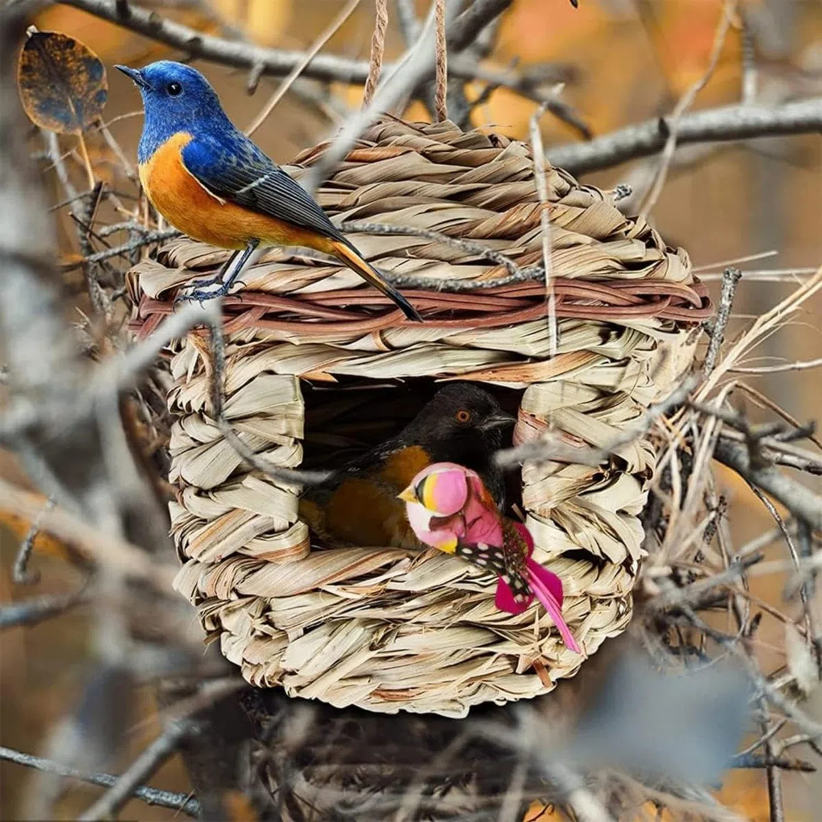2 Pezzi Nido Uccello Erba Casetta, Casa Degli Uccelli di Paglia, Nido per Uccelli Selvatici All'aperto, Casetta Uccellini da Esterno per Uccellini Come Colibrì, Merli, Passeri e Cinciarelle