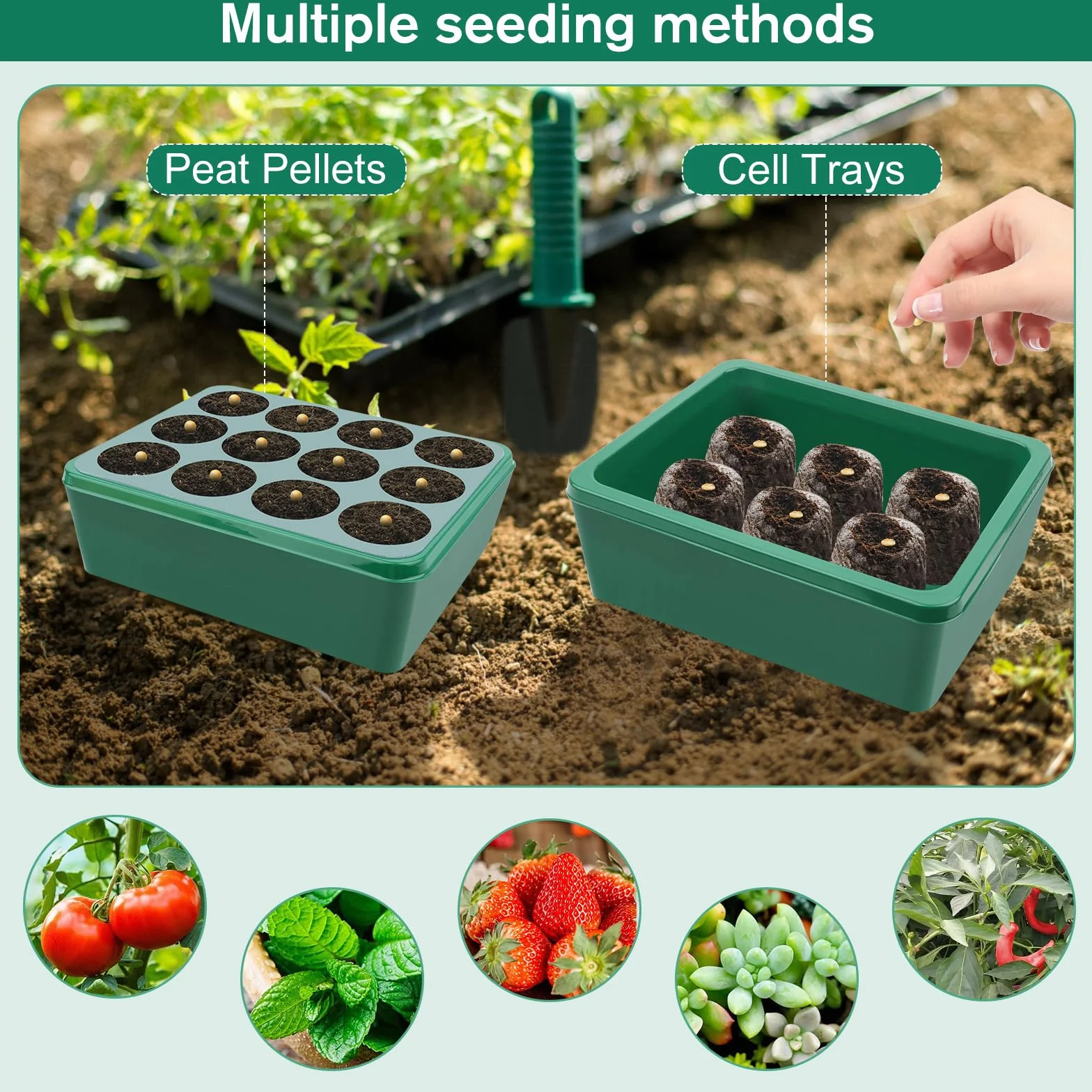 5 Pezzi Vassoi per Germinazione, Mini Serra Germinazione, Vassoi per Semi con Luce di Coltivazione, Semenzaio Propagatore Semi con Coperchi Alto con 10 Etichette, 2 Strumenti per Piante da Semina