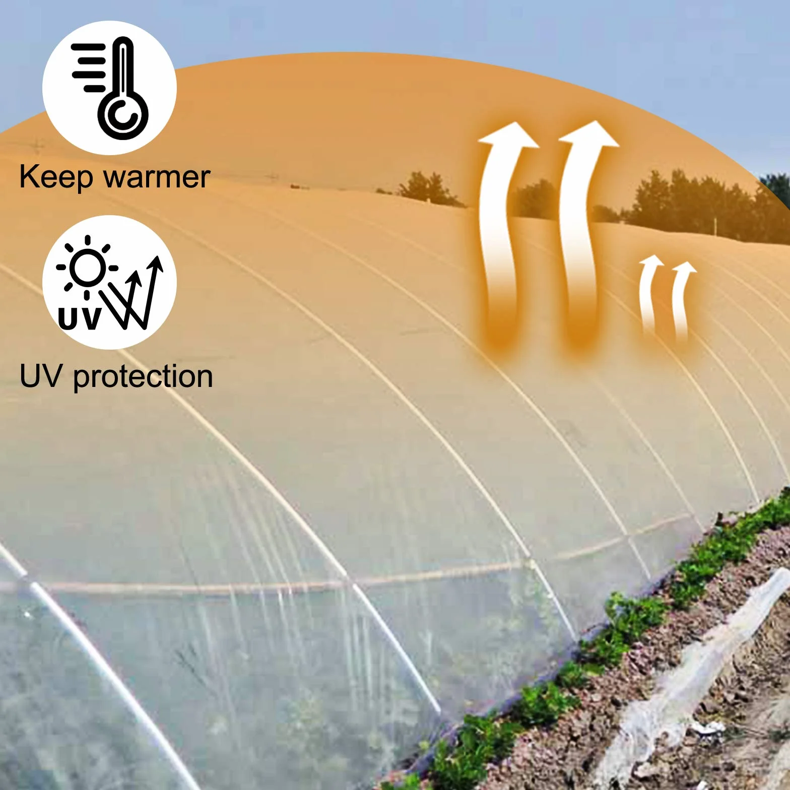 VEVOR Pellicola Trasparente per Serra da 32x25 Piedi con Spessore di 0,15mm, Copertura per Piante Serra da Giardinaggio in Polietilene, contro Raggi UV per progetti Industriali, Residenziali Agricoli