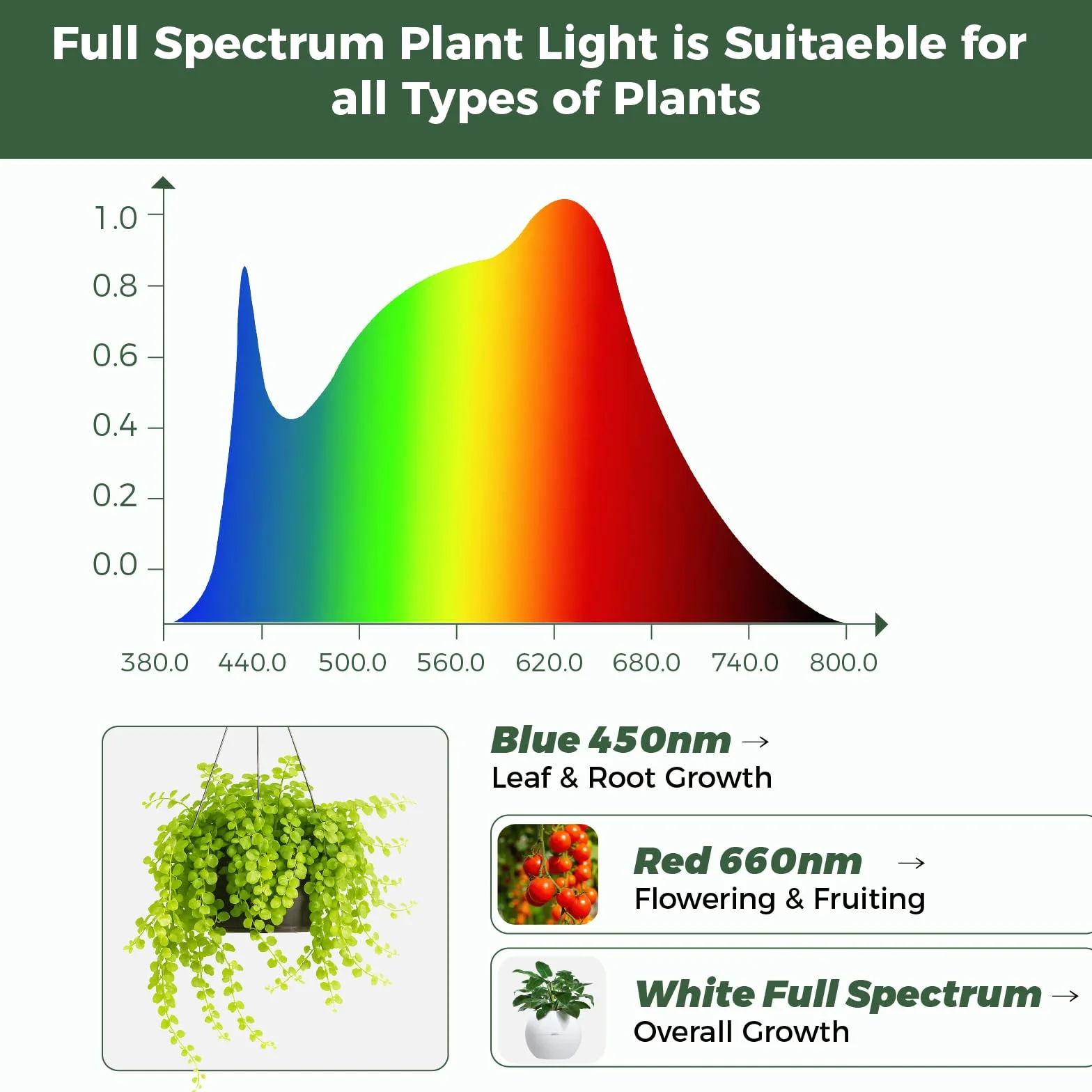 Bamworld Lampada a LED a spettro completo, lampada per piante da interno, lampada a risparmio energetico, regolabile in altezza e funzione timer, adatta per piante ed erbe aromatiche