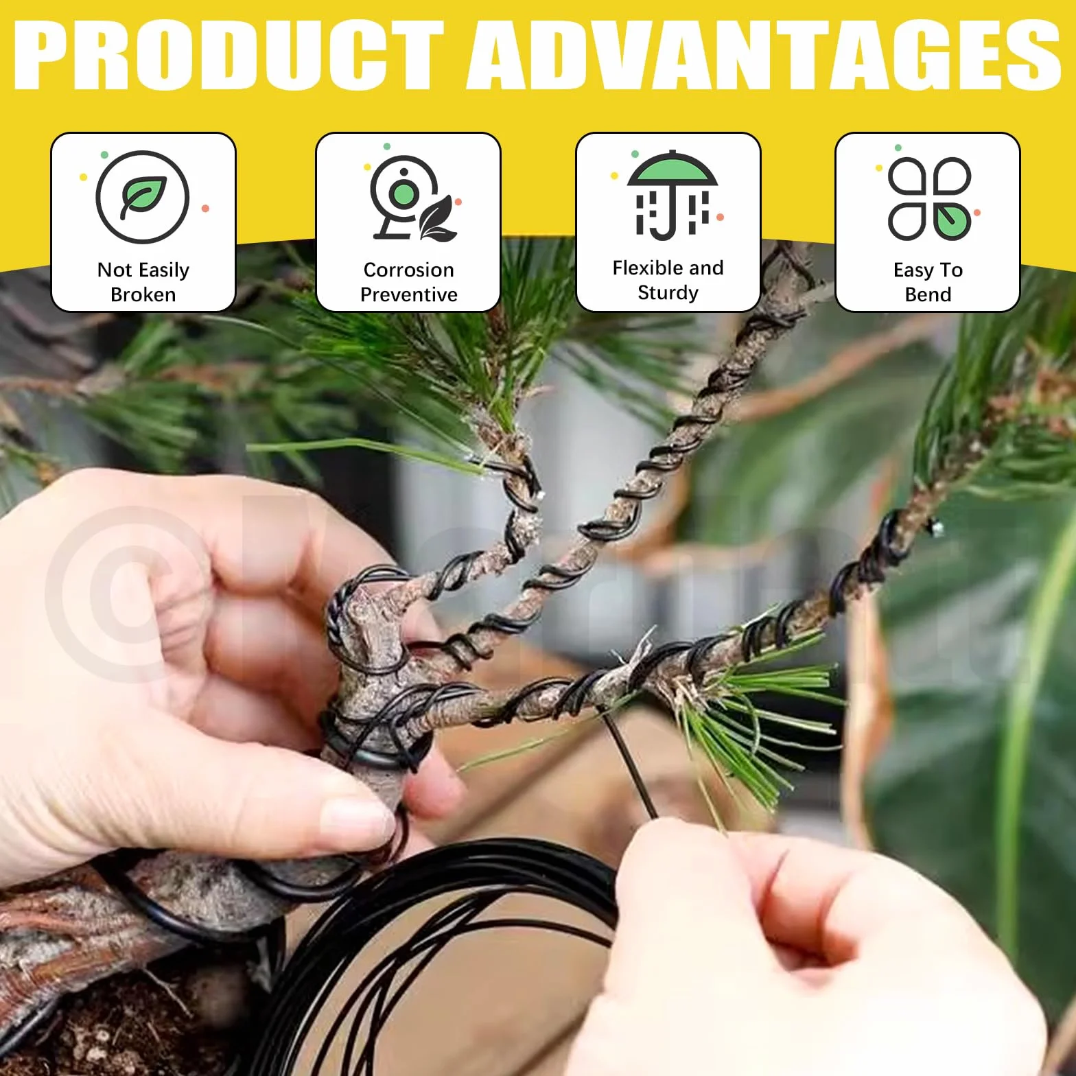 Kit di 6 fili per bonsai da 0,8 mm, 1 mm, 1,5 mm, 2 mm, 3 mm, filo di alluminio anodizzato, filo di alluminio per bonsai con tronchi per la progettazione di rami di bonsai