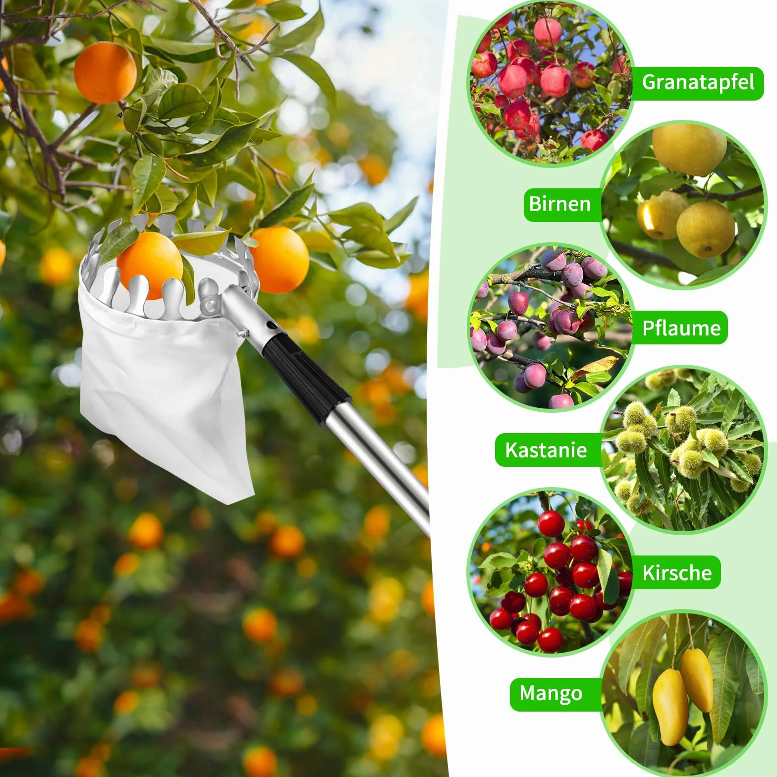 Dreamtop Raccogli Frutta Telescopico 2,8 m, Inox Raccogli Frutta da Albero con Borsa di Tela Extra Spesso, Regolabile Raccoglifrutta per Fichi Nespole Mele Ciliegie