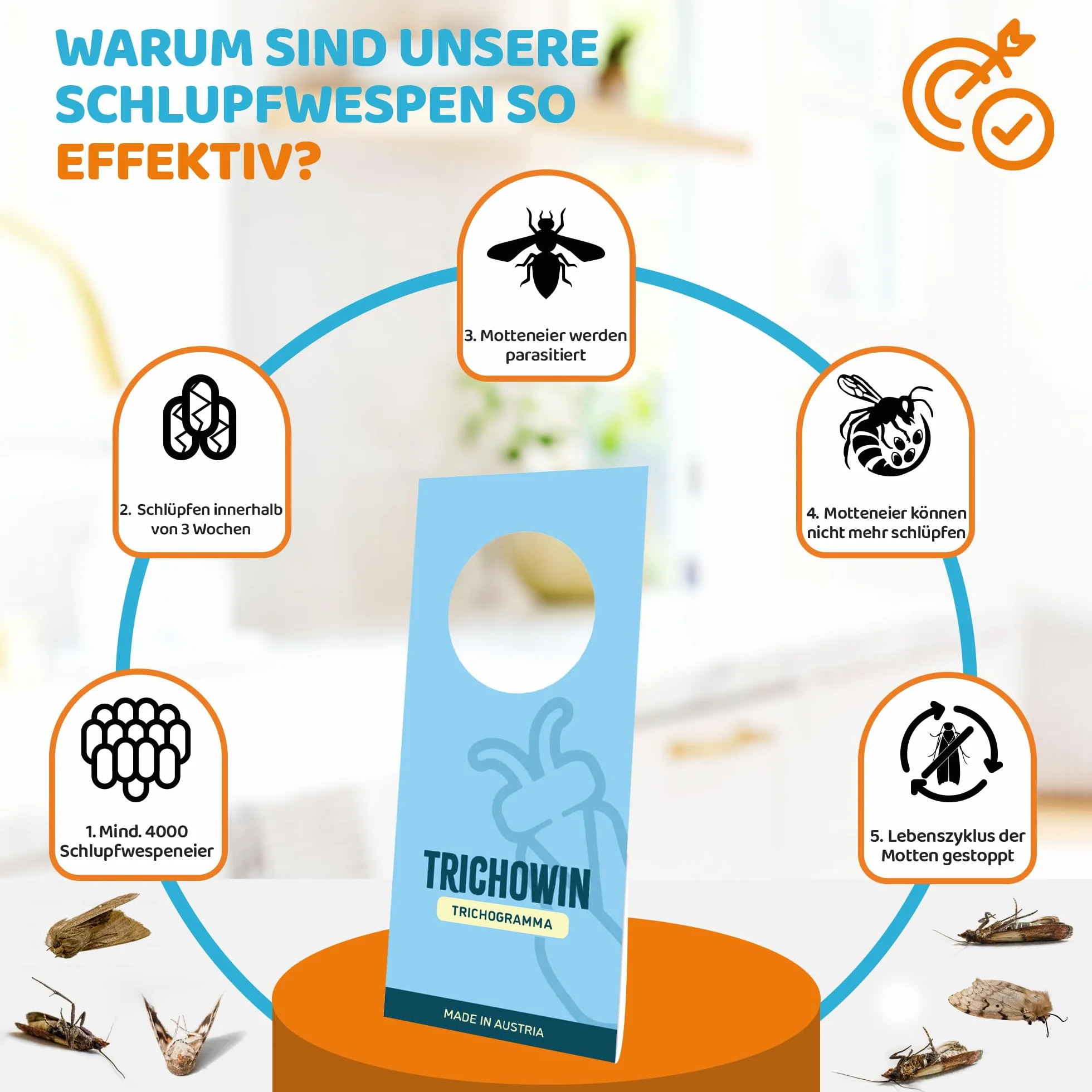 Vespe contro le tarme alimentari e vestiti – più efficace delle trappole per tarme alimentari – protezione alternativa alla trappola per tarme & spray per tarme, prodotto in AT (10 pezzi)