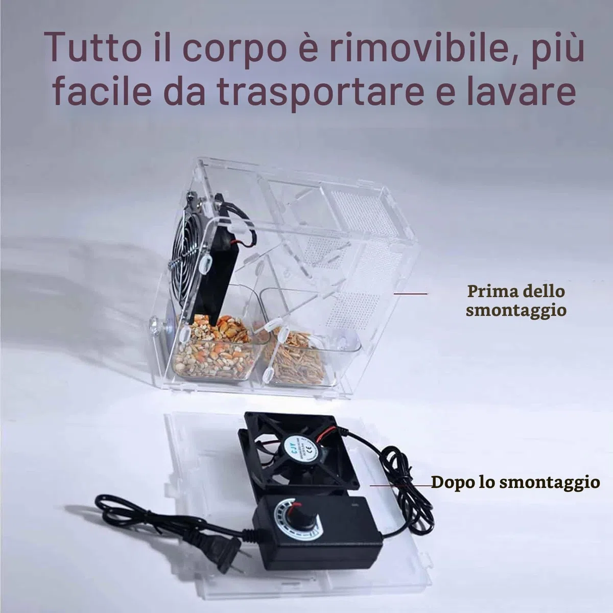 Macchina for la pulizia del mangime for uccelli,vagliatrice elettrica la pulizia dei cereali con 2granai indipendenti e ventola a velocità regolabile,separatore di gusci soffiati for semi di uccelli