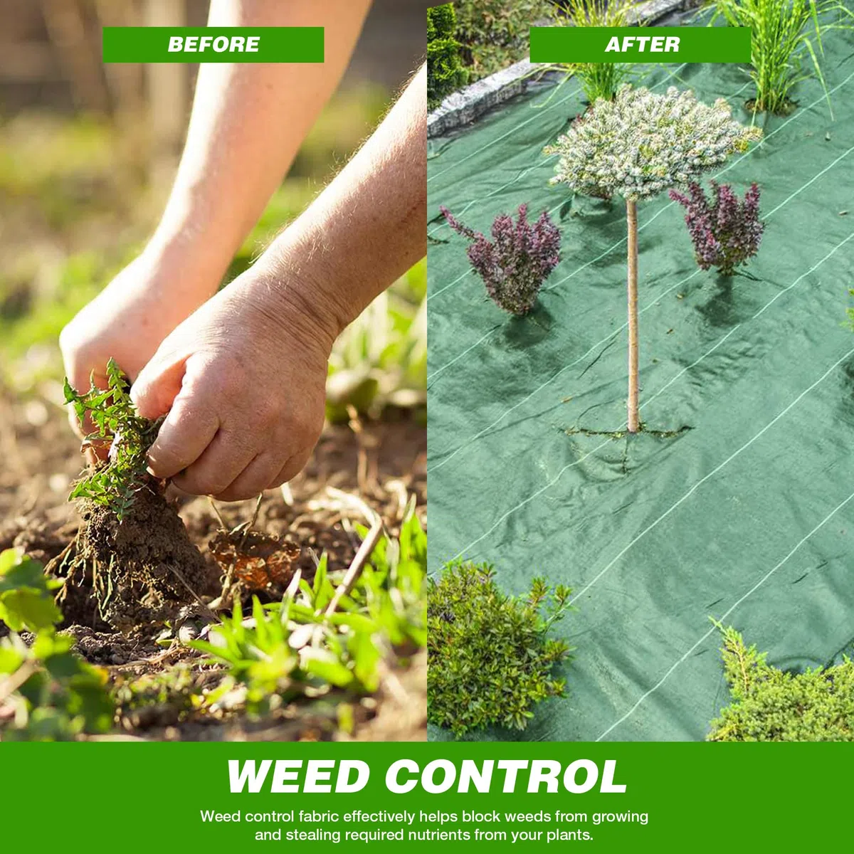 GardenersDream Telo Anti Erbacce ad Alta efficacia - Pellicola per pacciamatura e Controllo delle Erbe infestanti da Giardino, Verde, drenante e Resistente 125 g/m2 (2 m x 10 m)