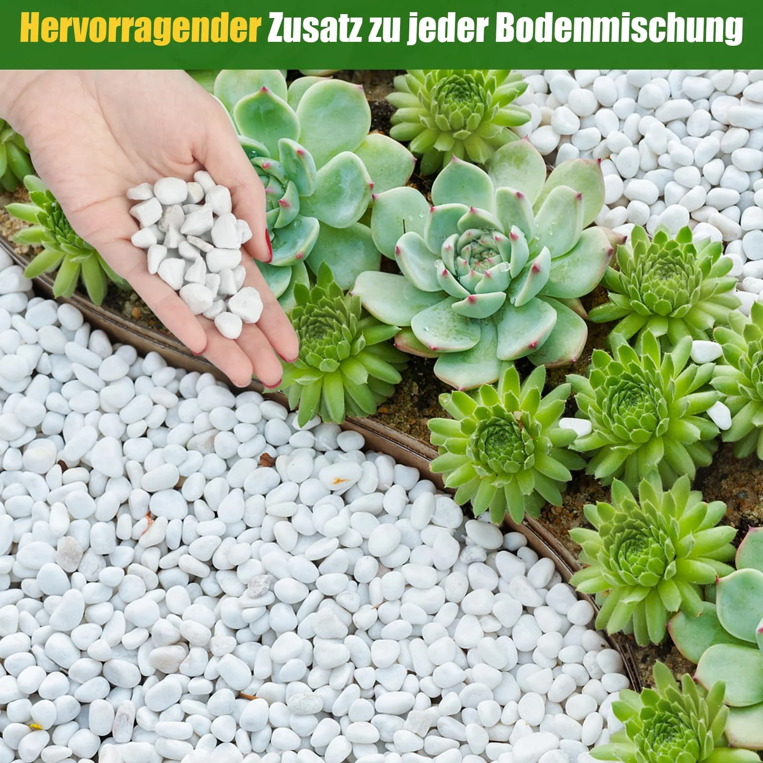 Perlite grossolana per piante (1-2 cm di diametro), additivo naturale per il suolo, migliora il drenaggio e la ventilazione, favorisce la salute del suolo e la crescita delle radici (10L)