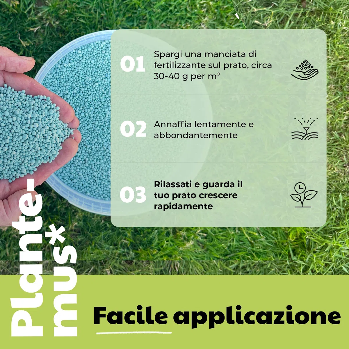 PLANTEMUS Concime per Prato Premium a Effetto Prolungato per 175 m² | Concime NPK (12-11-18) granulare in Perle Ultrasolubili | Nutrizione Completa per un Prato Forte, Verde e Denso 5.5 kg