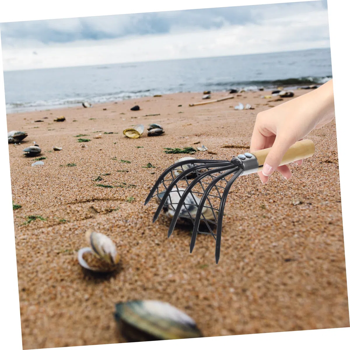 Abaodam Strumento per Vongole e Telline in Metallo Inossidabile con Rete, Attrezzo di Scavo per Pesca, Resistente e Robusto