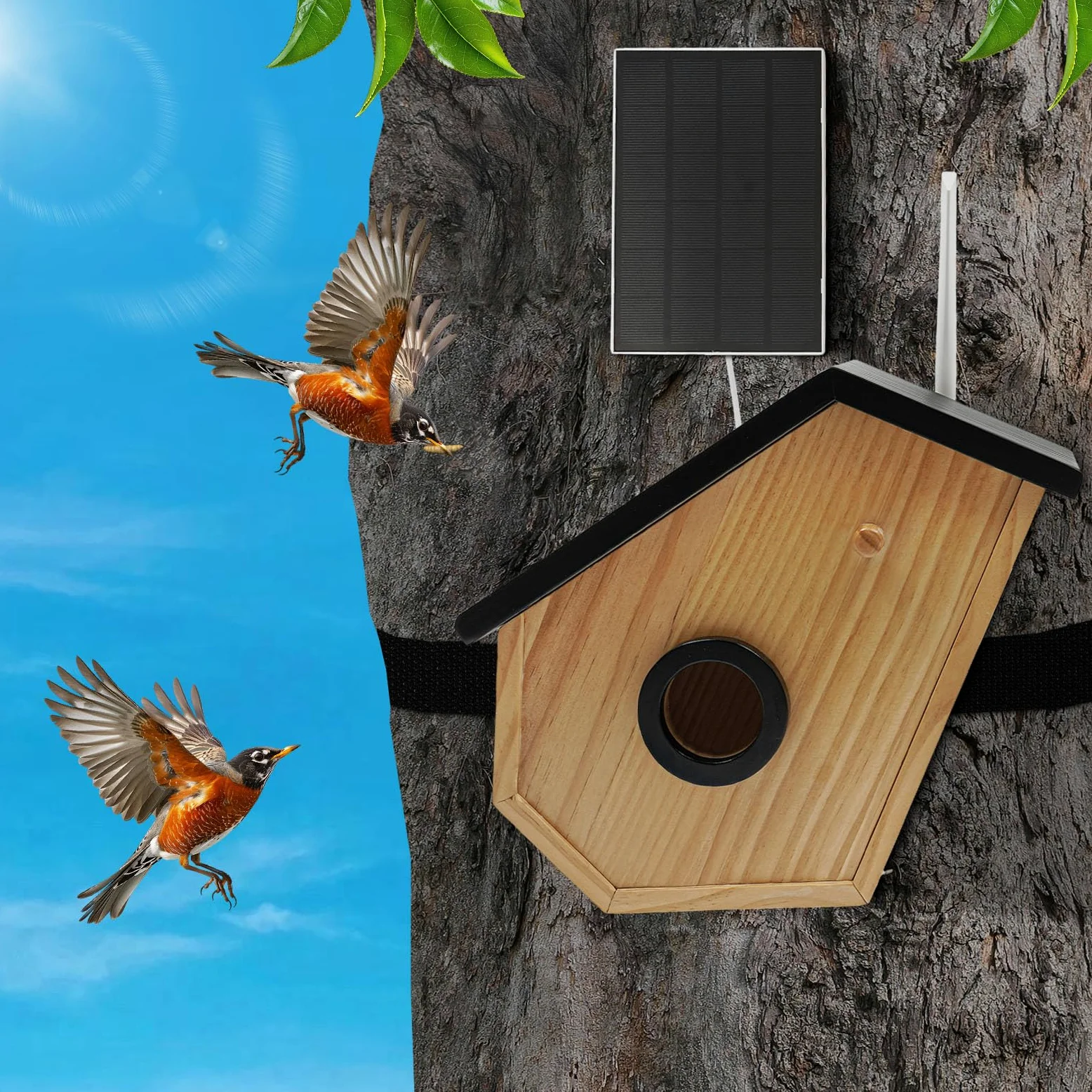 Casetta per uccelli in legno di pino a energia solare, con fotocamera solare, riconoscimento degli uccelli artificiali, batteria per visione notturna HD, IP65, in legno di pino per giardino