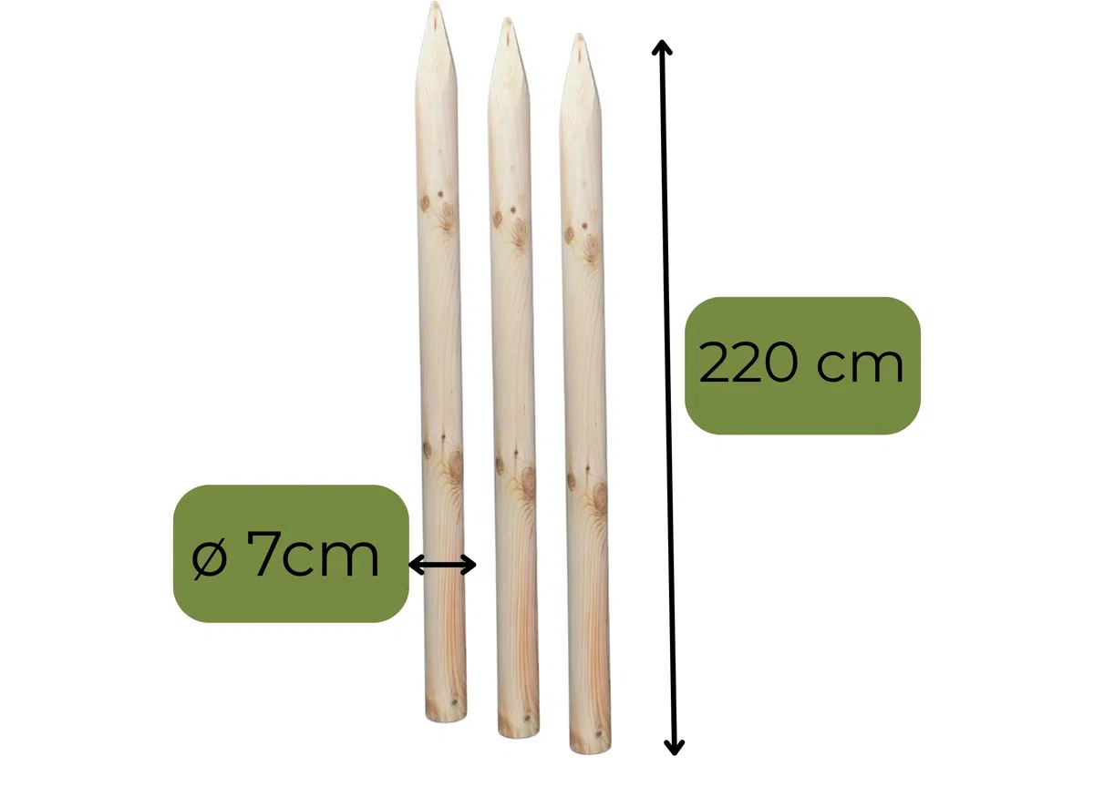Kit Tutto Incluso per Sostegno Alberi ø 7 cm x 220 cm con 3 Pali in Legno, 3 Cinghie Nere e 6 Semipali in Legno per Fissaggio e Supporto Piante