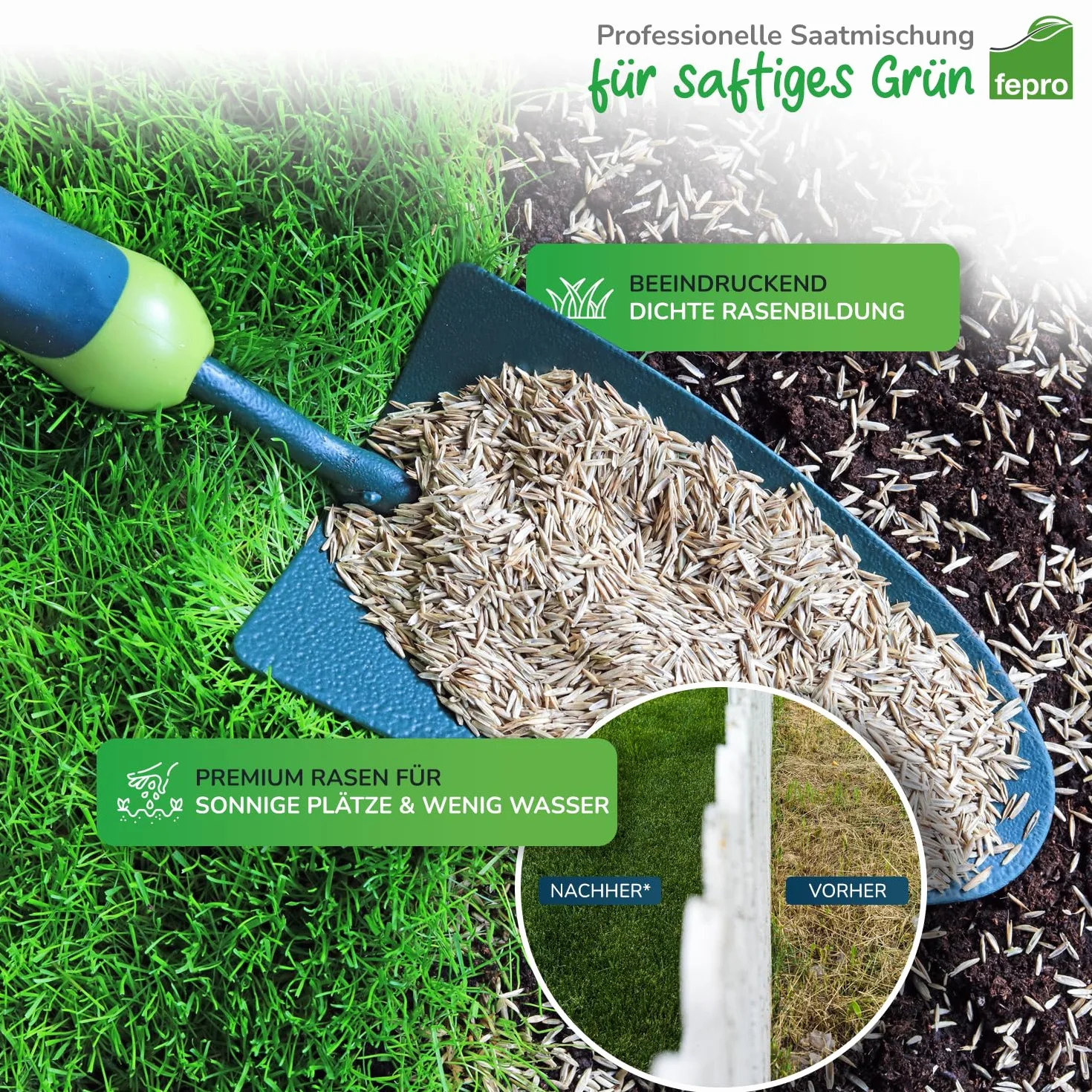 5 kg di semi di erba secca, resistenti alla siccità, per erba secca e ombreggiata, semi di erba a germinazione rapida, 200 m², ideali per semi di erba e semina