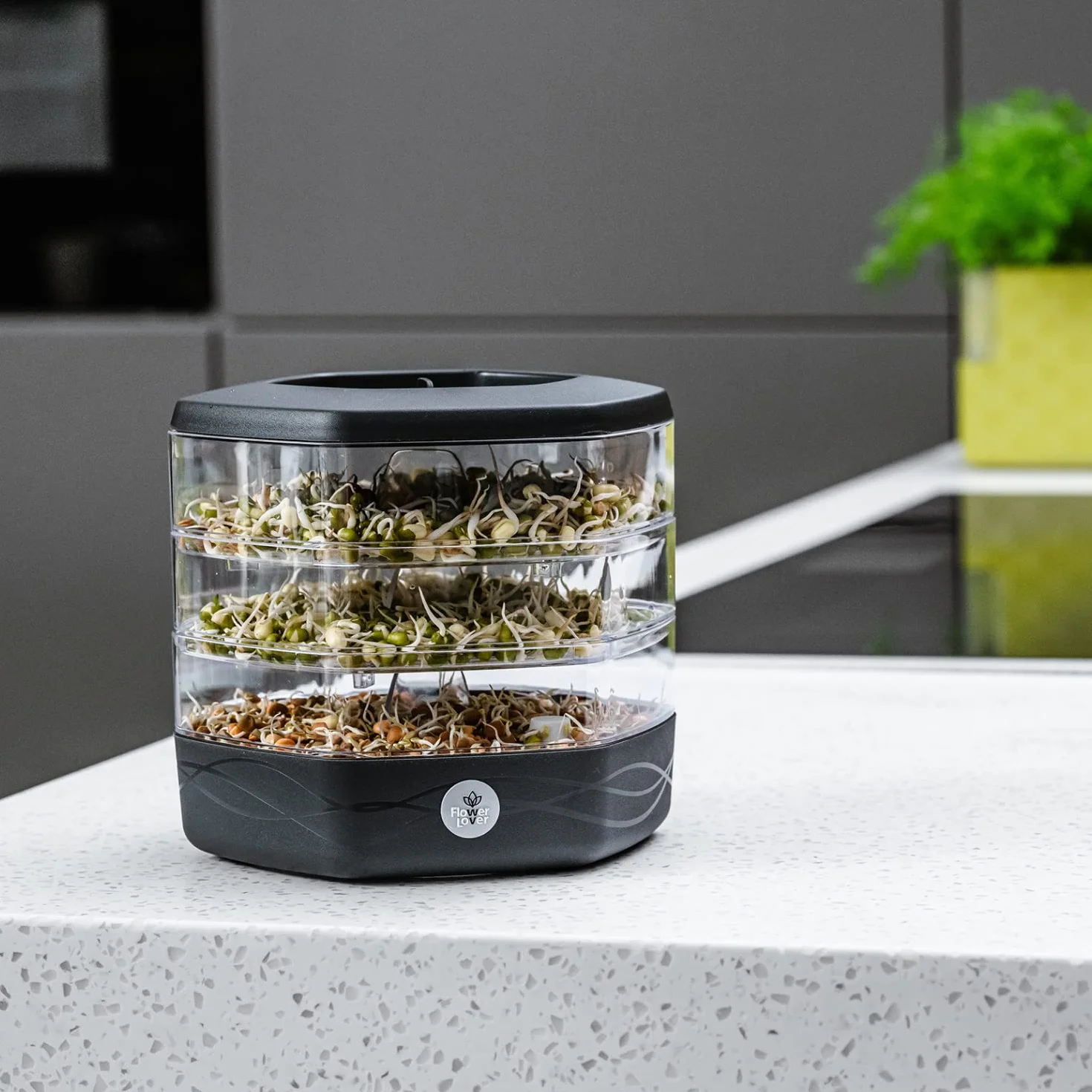 Germogliatore per Semi Alimentari con 3 livelli ø17 cm - Germinatore per Semi, Germogli, Microgreens - Germogliatore per Semi in Plastica, Antracite