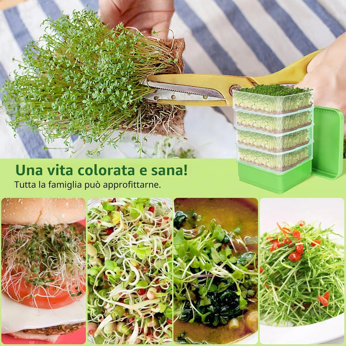 WYWY Kit di germinazione di fagioli a 4 piani, vassoi da coltivazione impilabili per microrganismi verdi